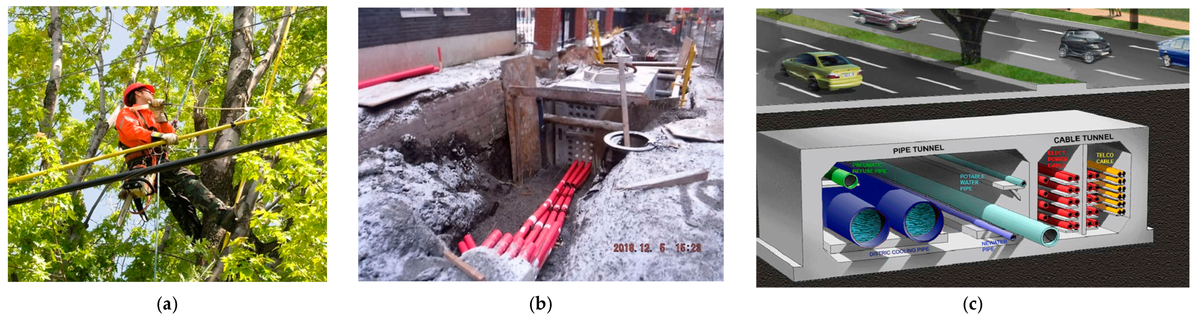 Forests 16 01658 g008