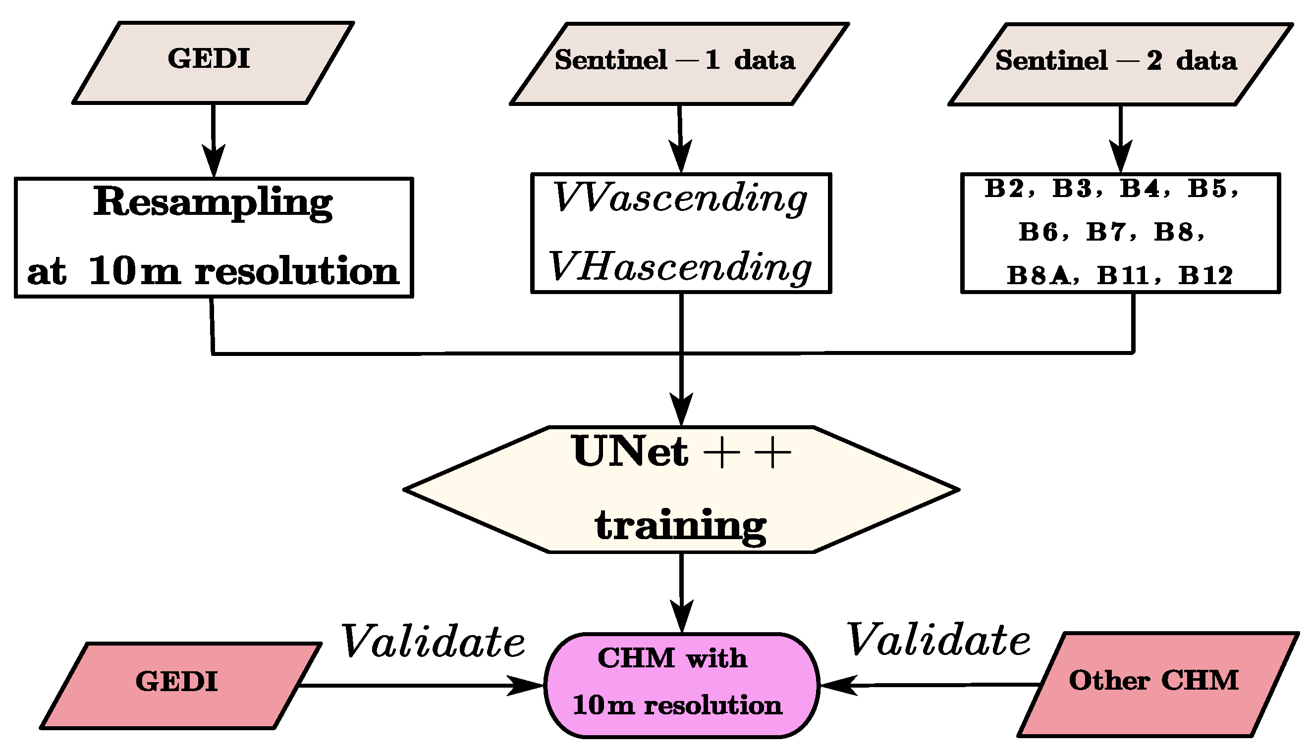 Forests 16 01663 g002