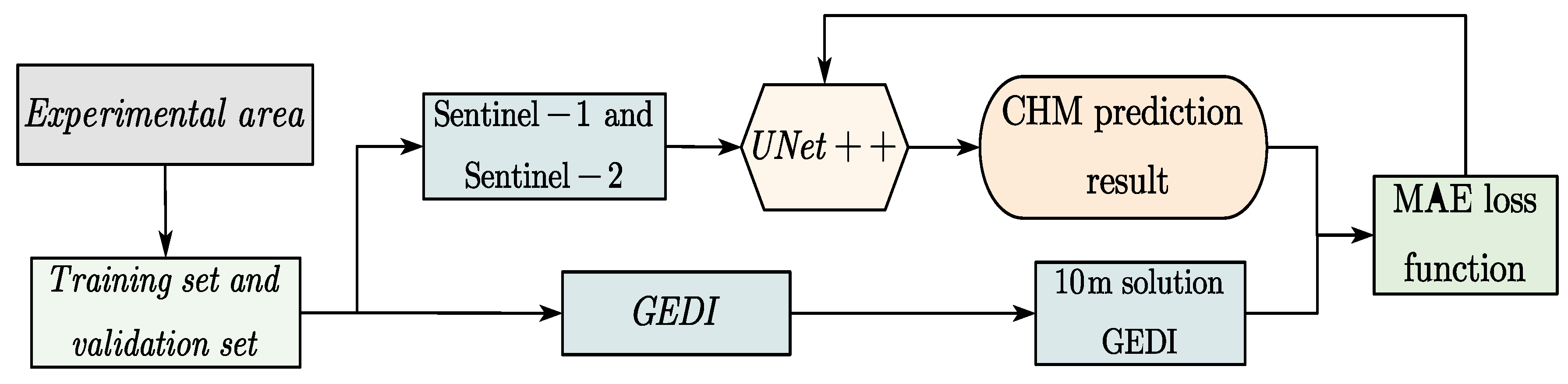 Forests 16 01663 g004