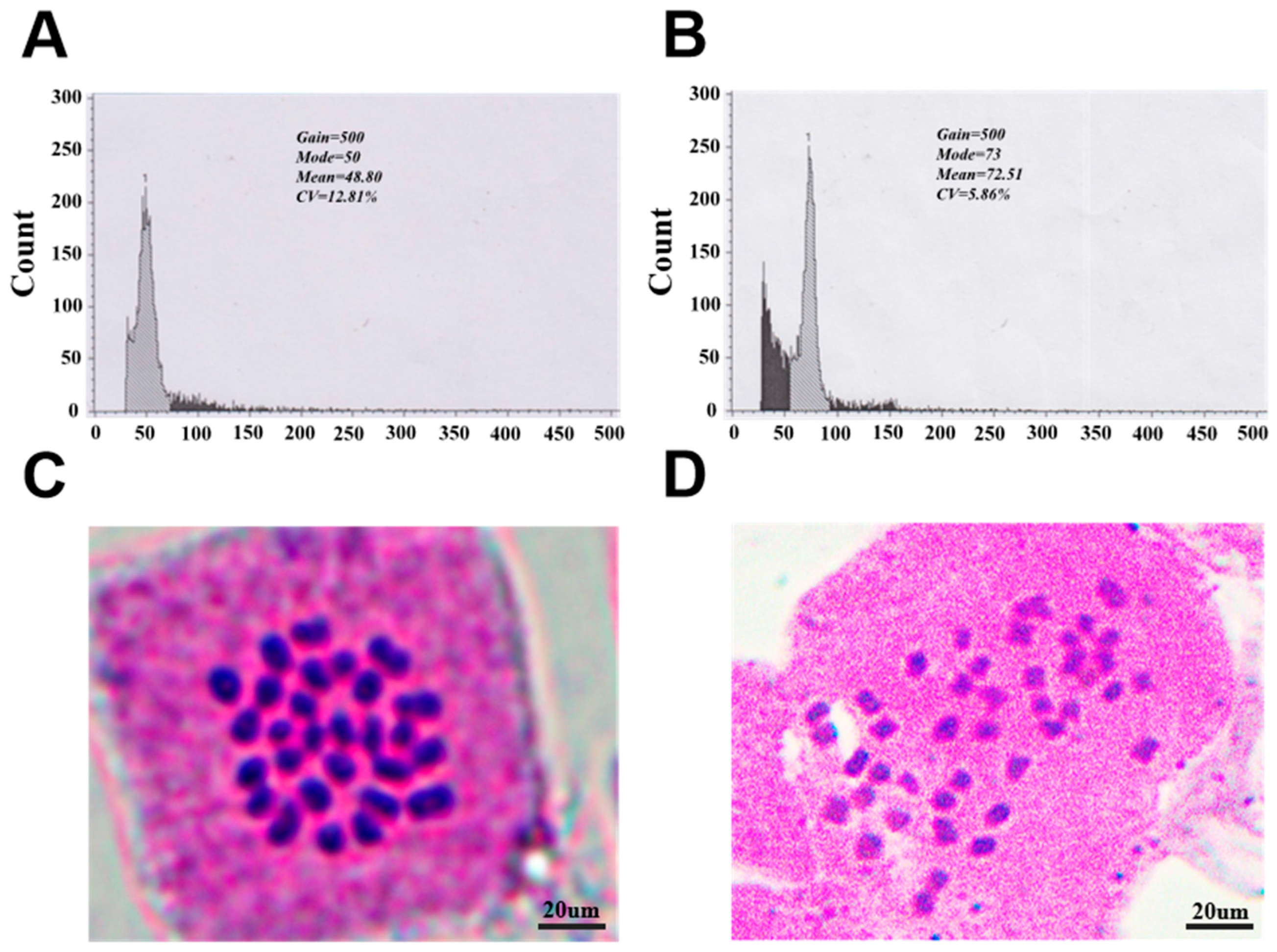 Forests 16 01667 g002