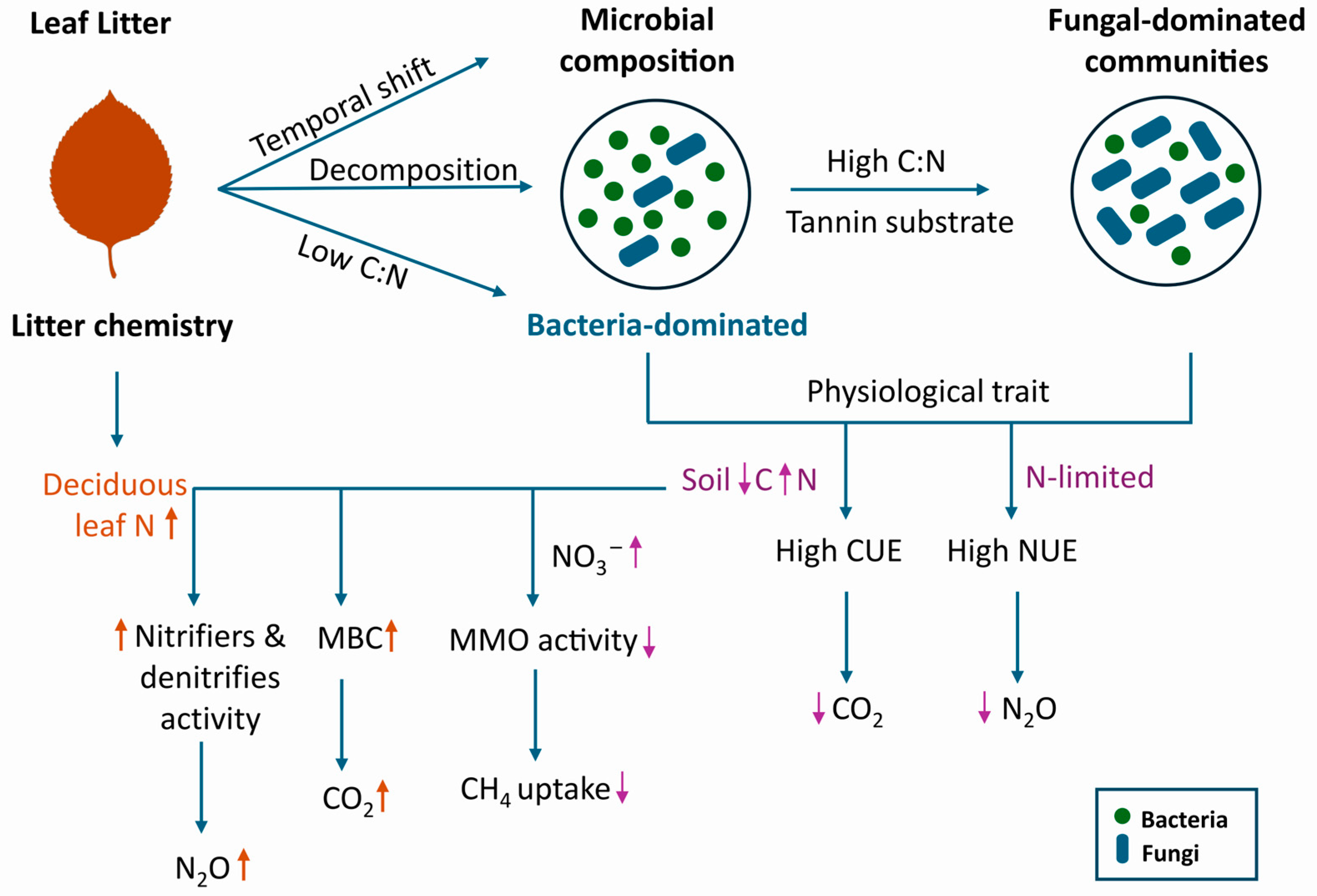 Forests 16 01723 g005