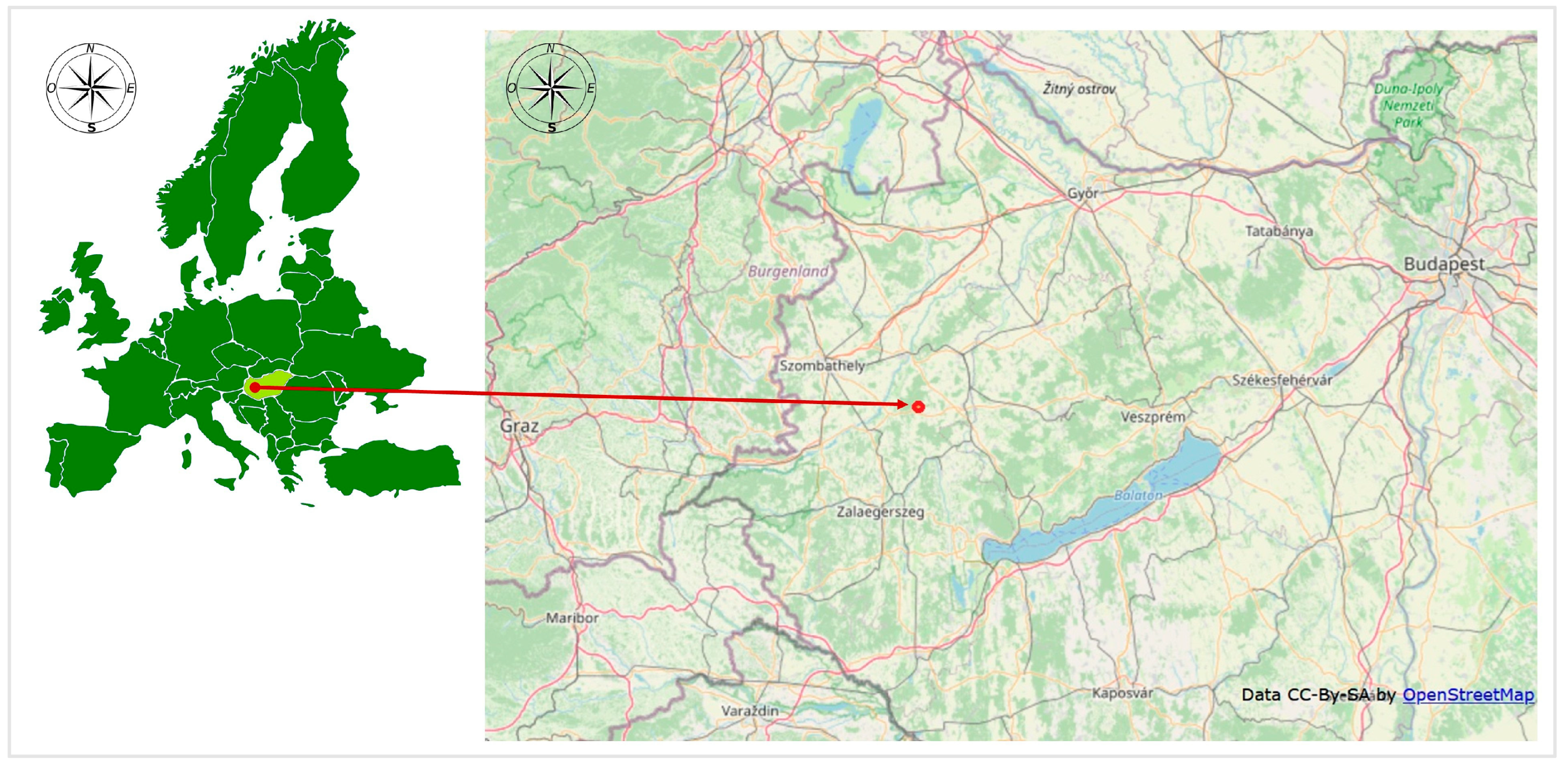 Forests 16 01724 g001