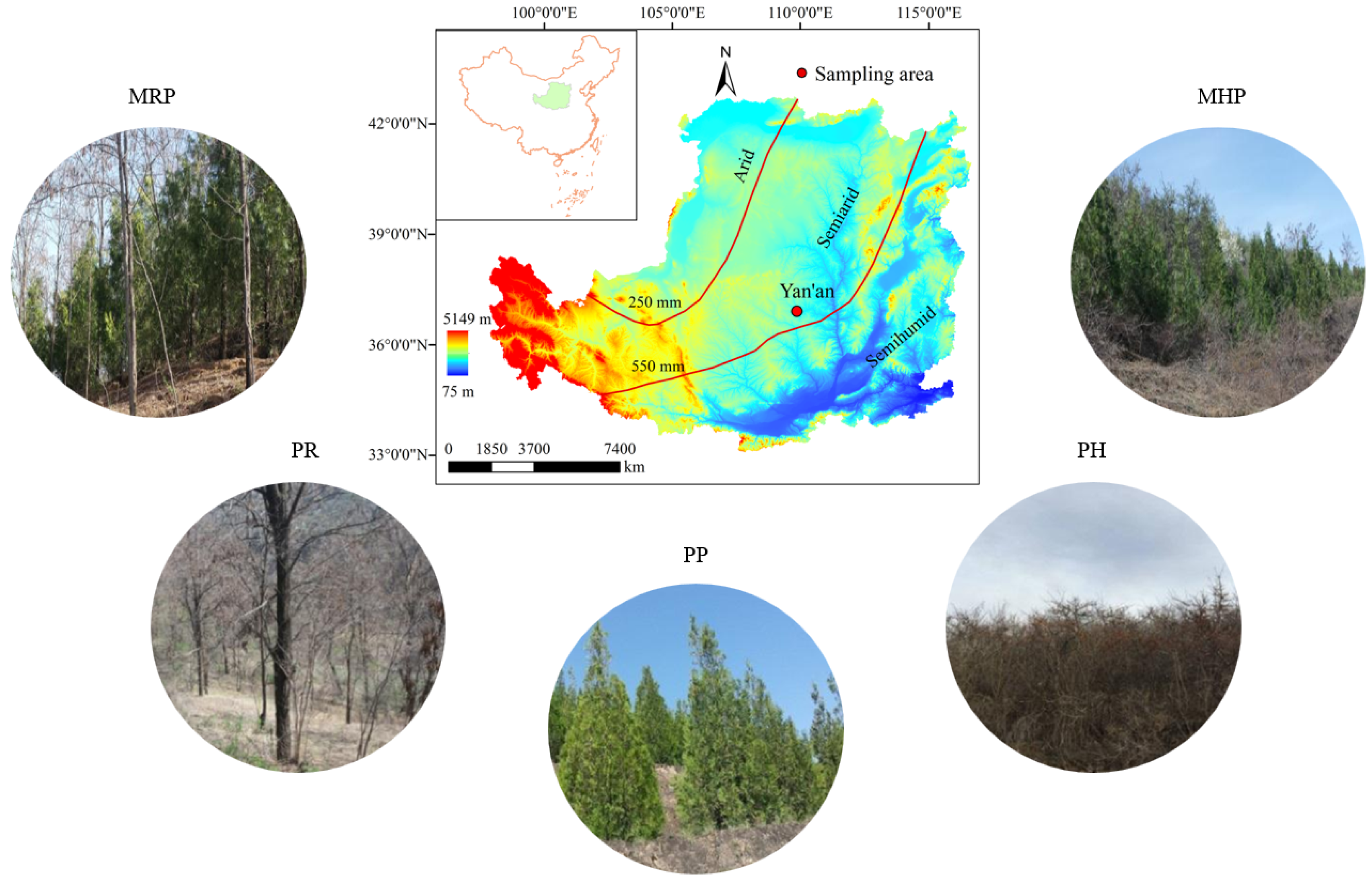 Forests 16 01738 g001 Forests 16 01738 g001