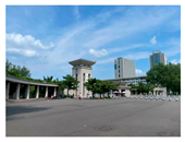 Forests 16 01841 i003 Forests 16 01841 i003