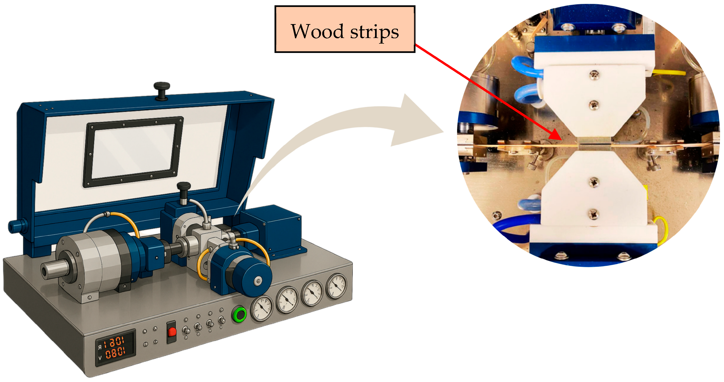 Forests 16 01843 g001