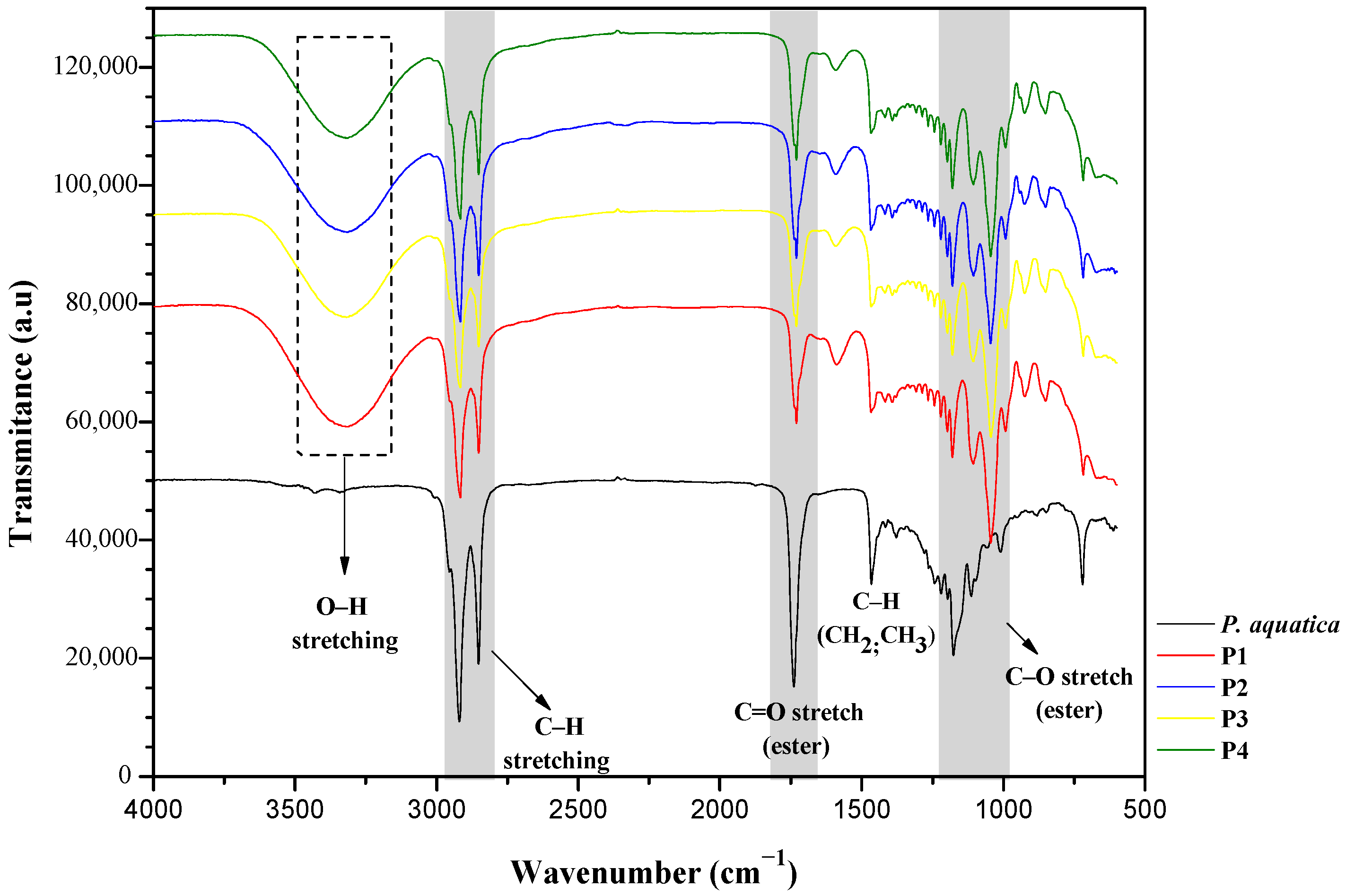 Forests 16 01843 g002