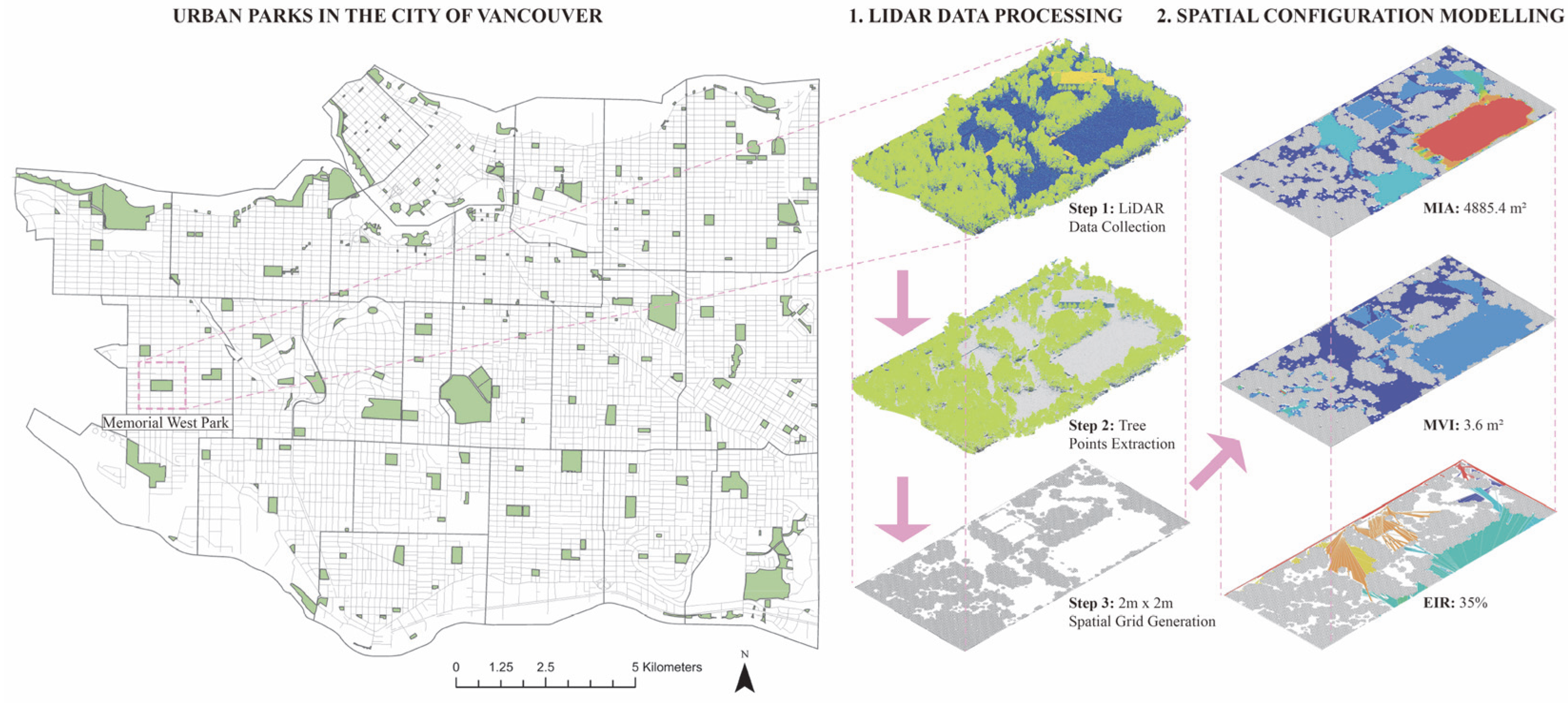 Forests 16 01874 g002