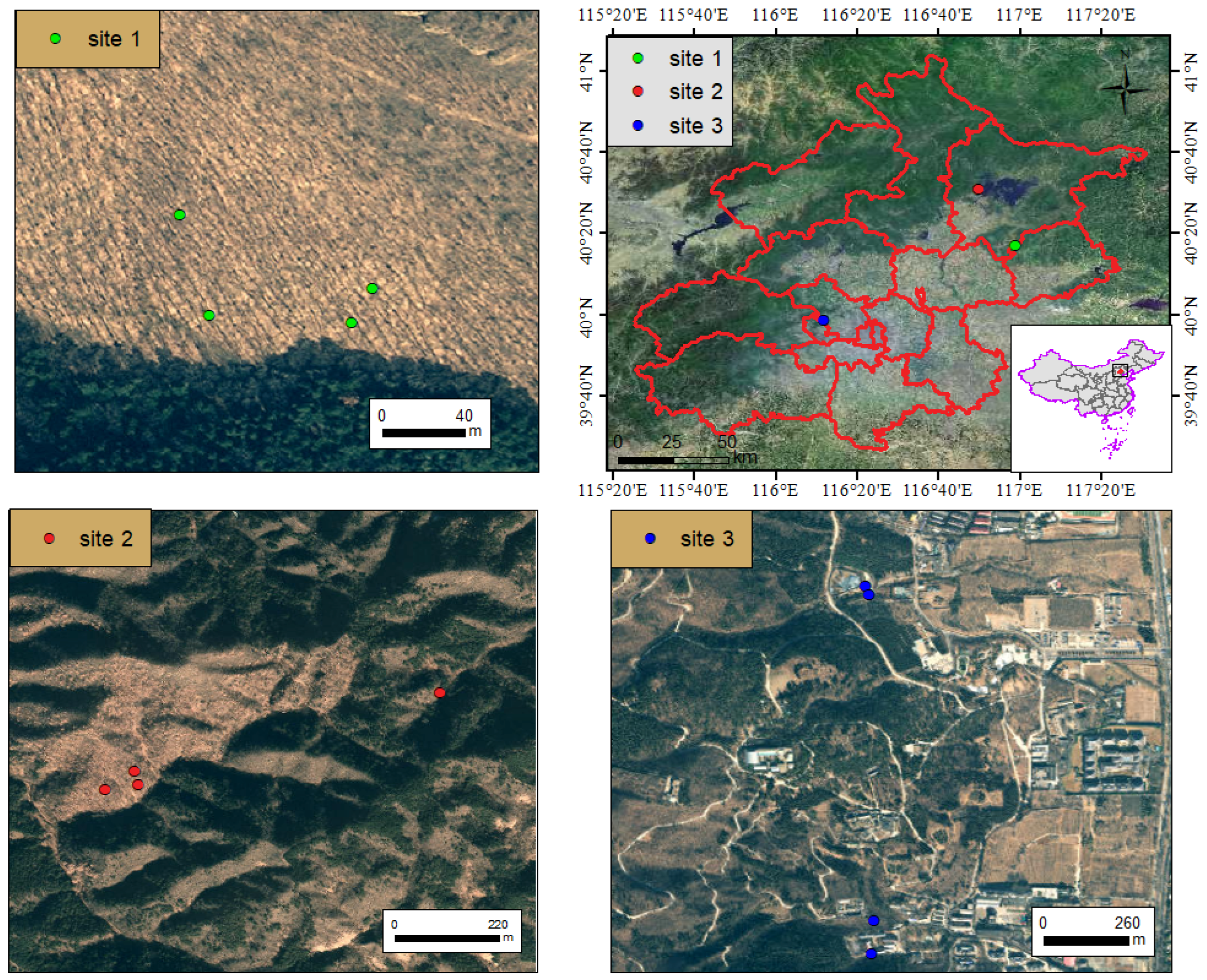 Forests 17 00039 g001 Forests 17 00039 g001