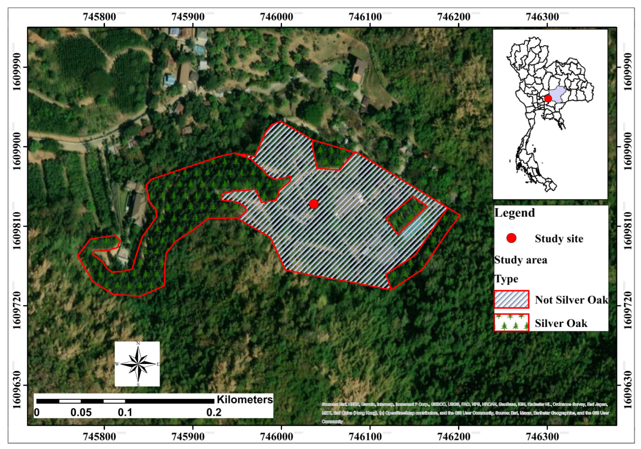 Forests 17 00100 g001 Forests 17 00100 g001