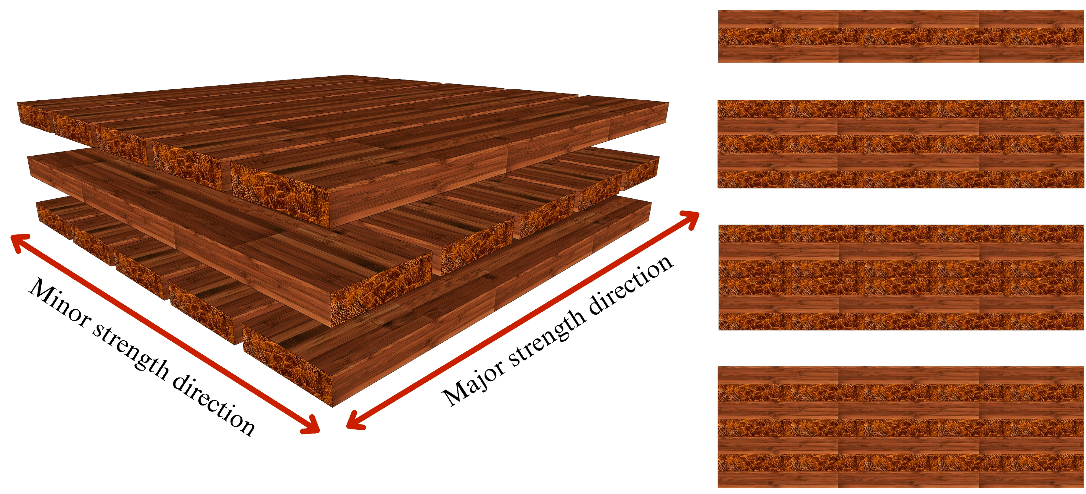 Forests 17 00132 g001