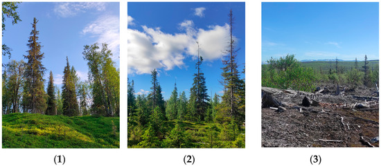 Forests 17 00147 g002a Forests 17 00147 g002a