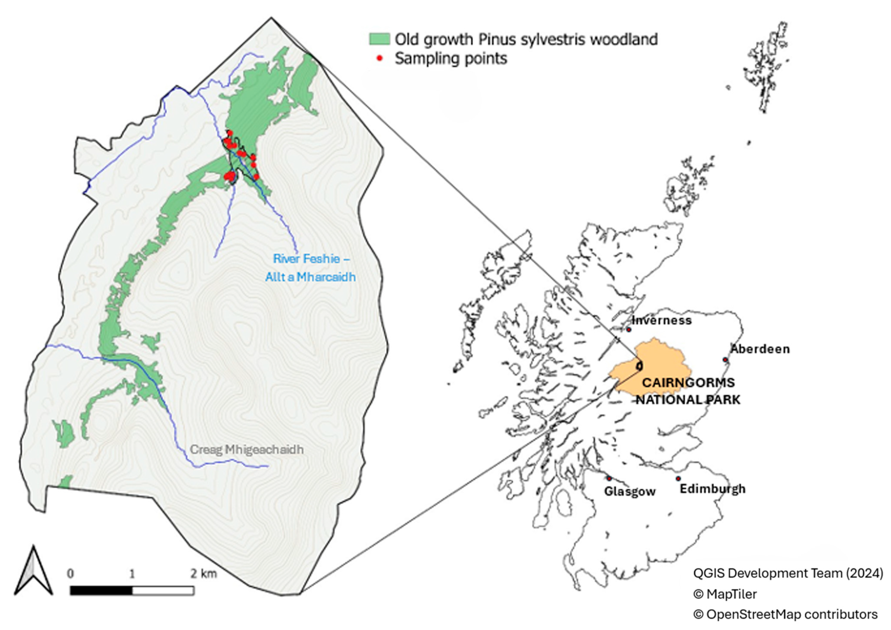Forests 17 00168 g001