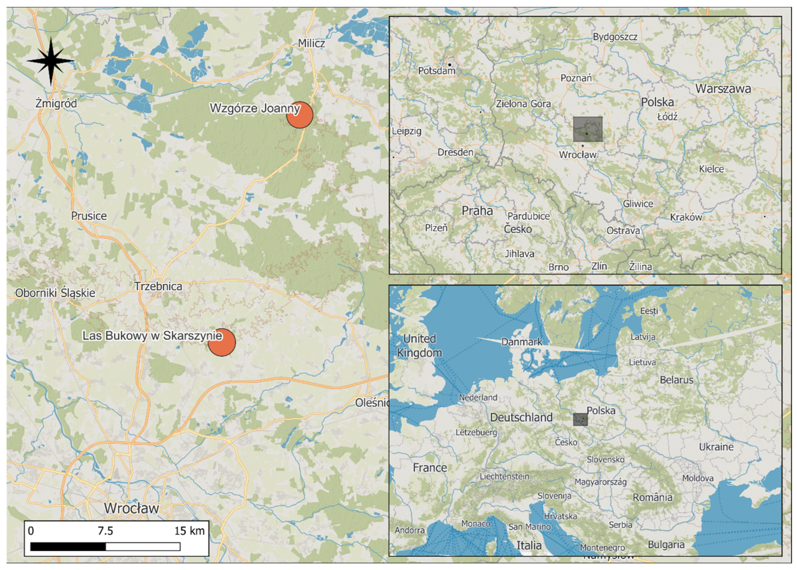 Forests 17 00178 g001