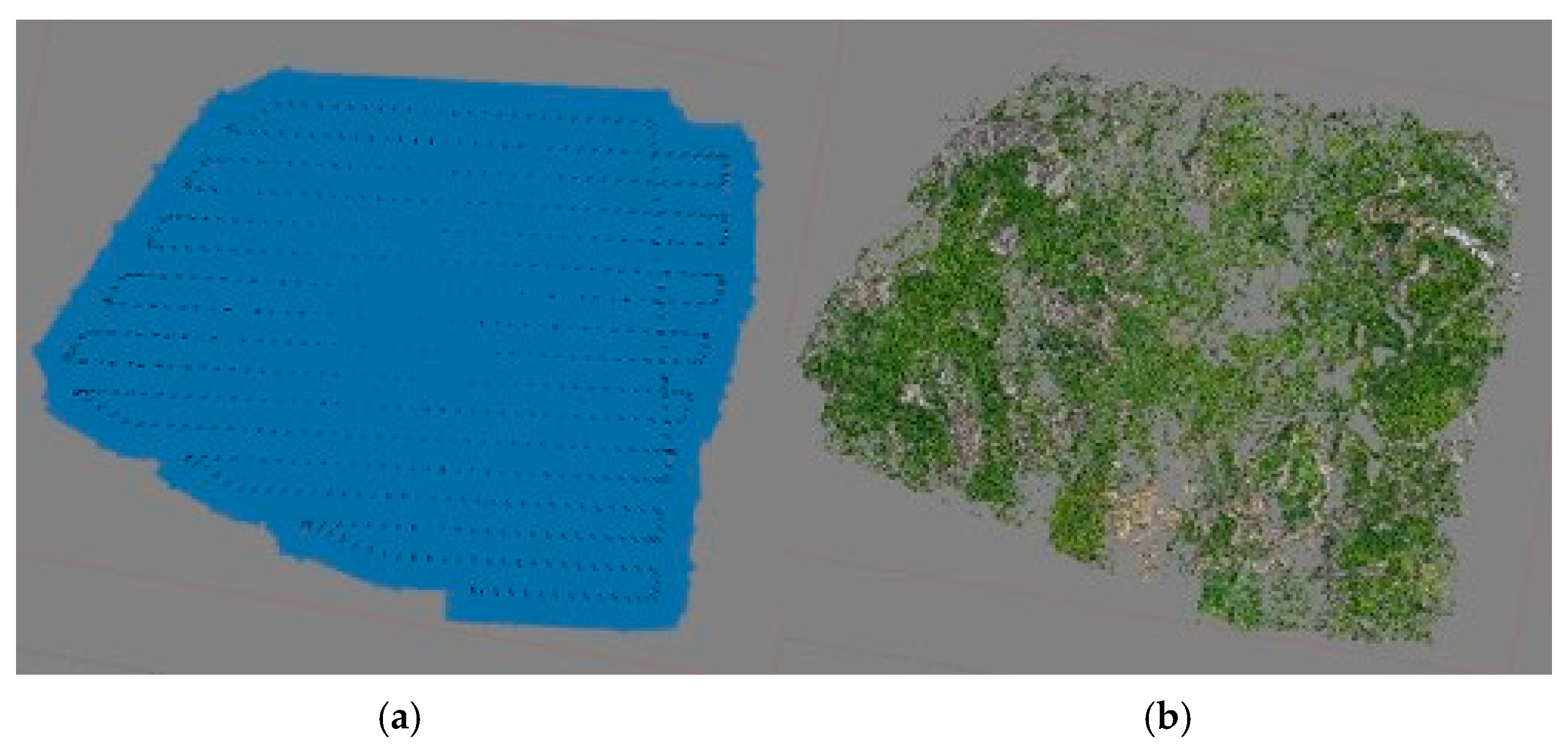 Forests 17 00191 g003a Forests 17 00191 g003a