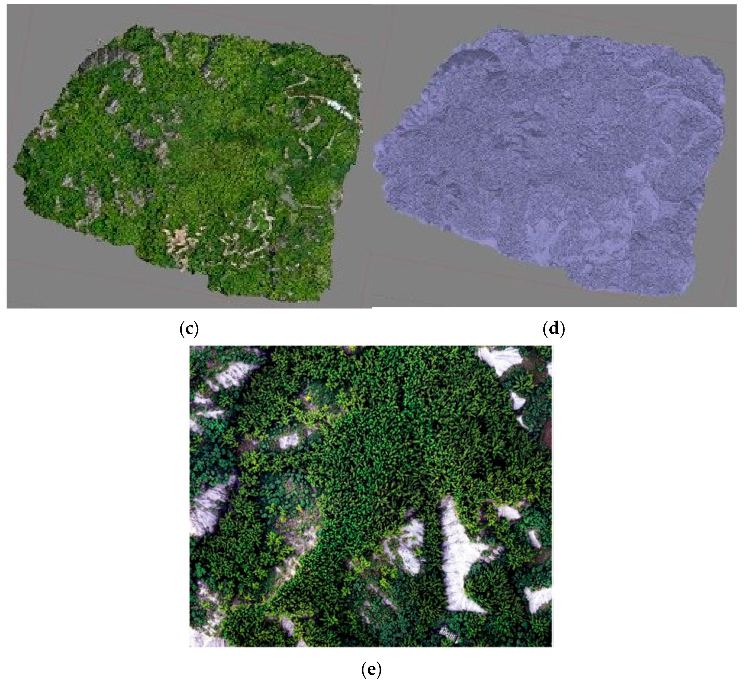 Forests 17 00191 g003b Forests 17 00191 g003b