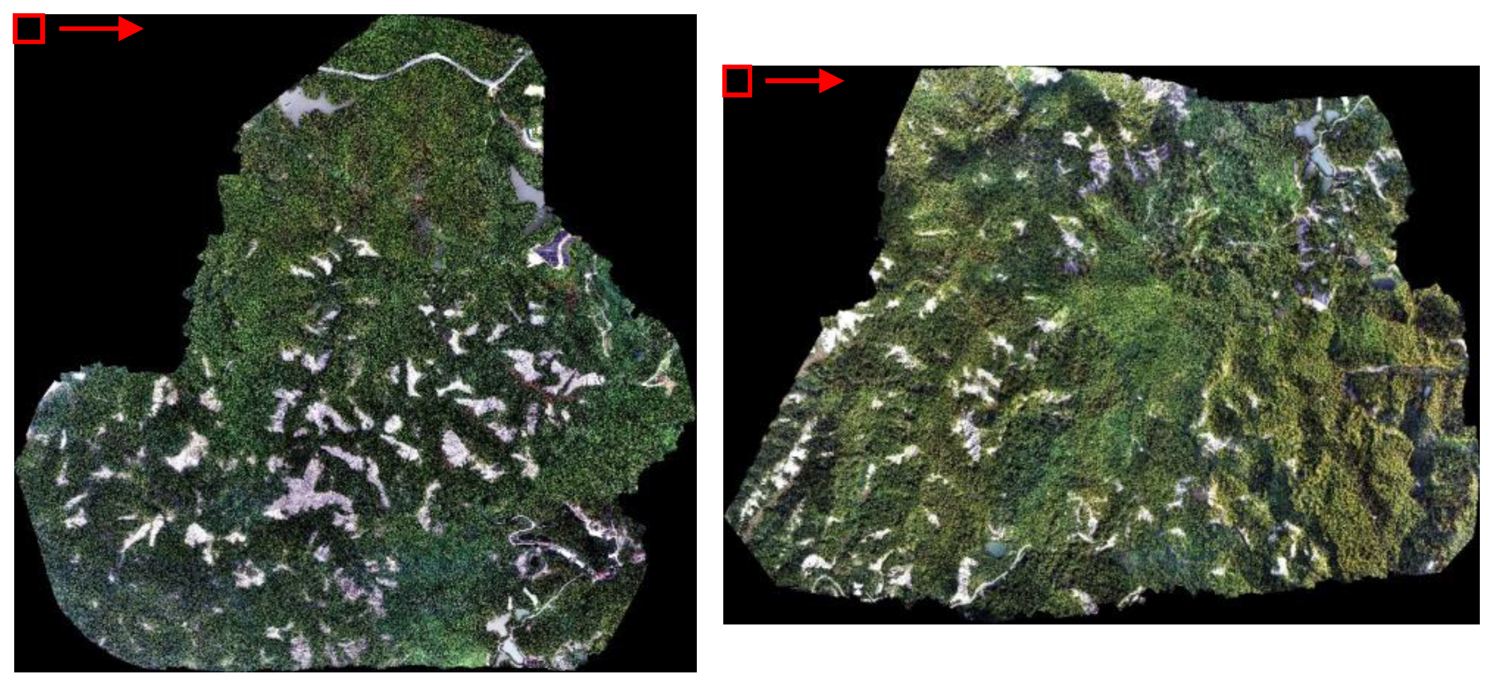 Forests 17 00191 g004 Forests 17 00191 g004