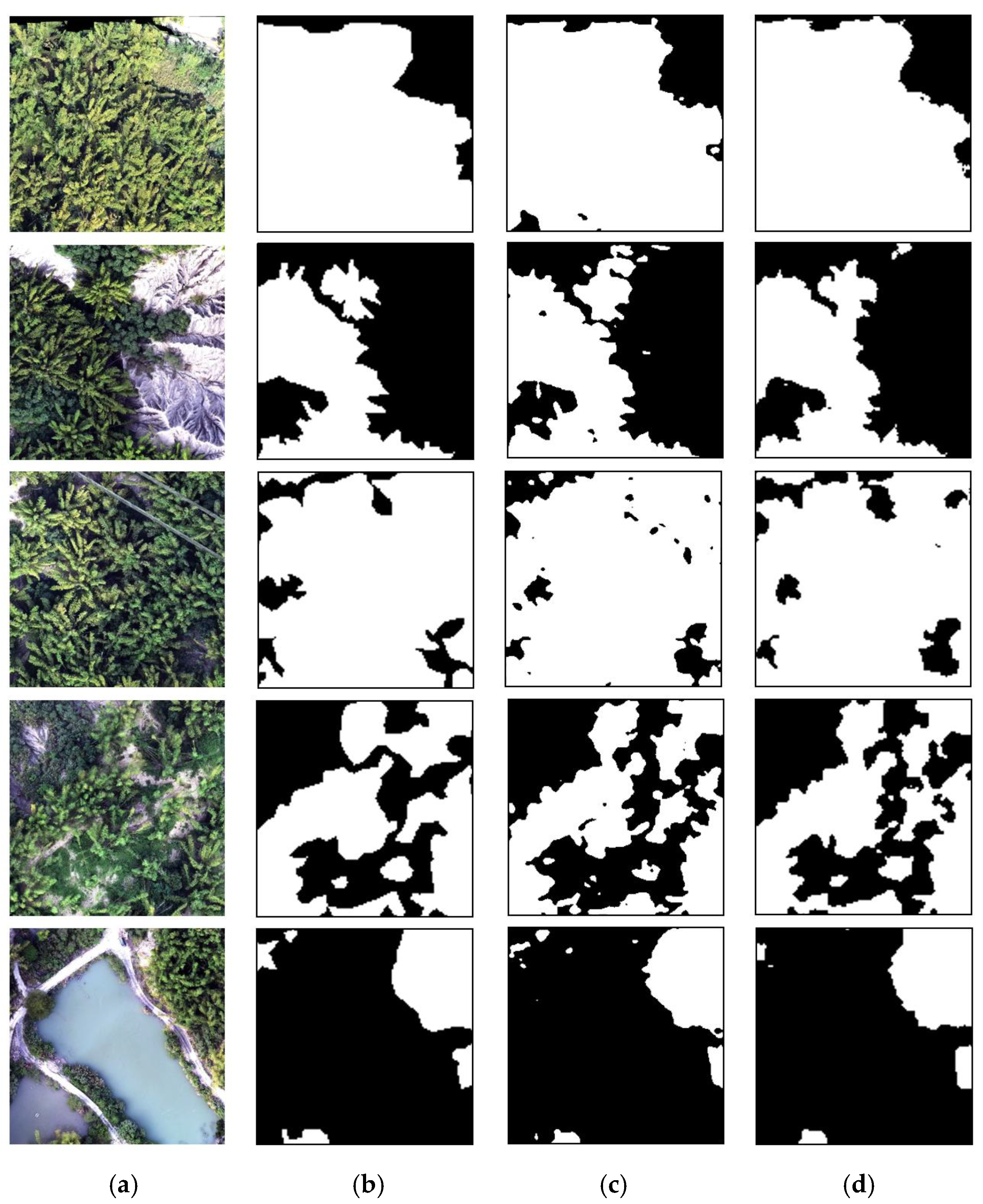 Forests 17 00191 g006 Forests 17 00191 g006