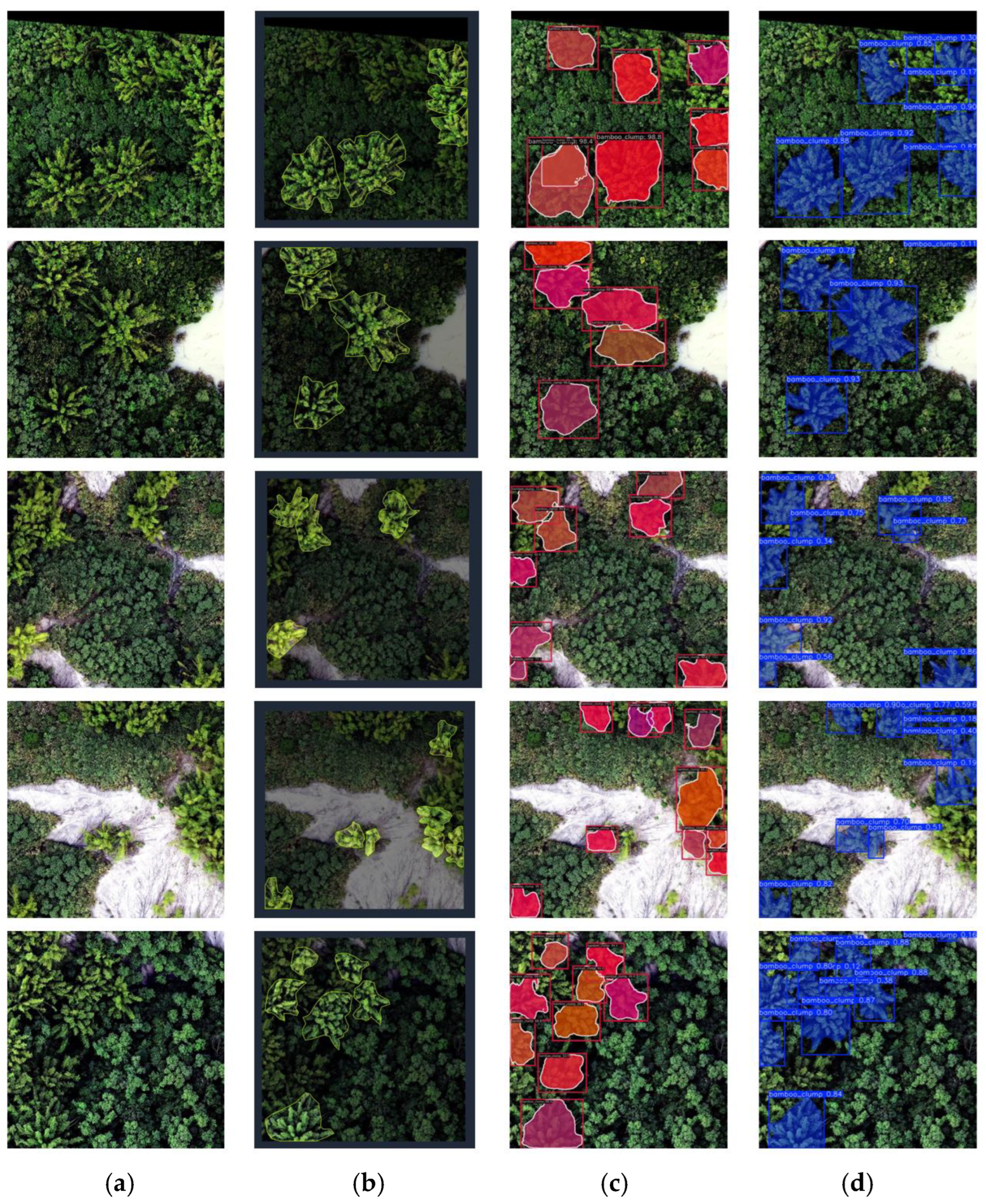 Forests 17 00191 g007 Forests 17 00191 g007