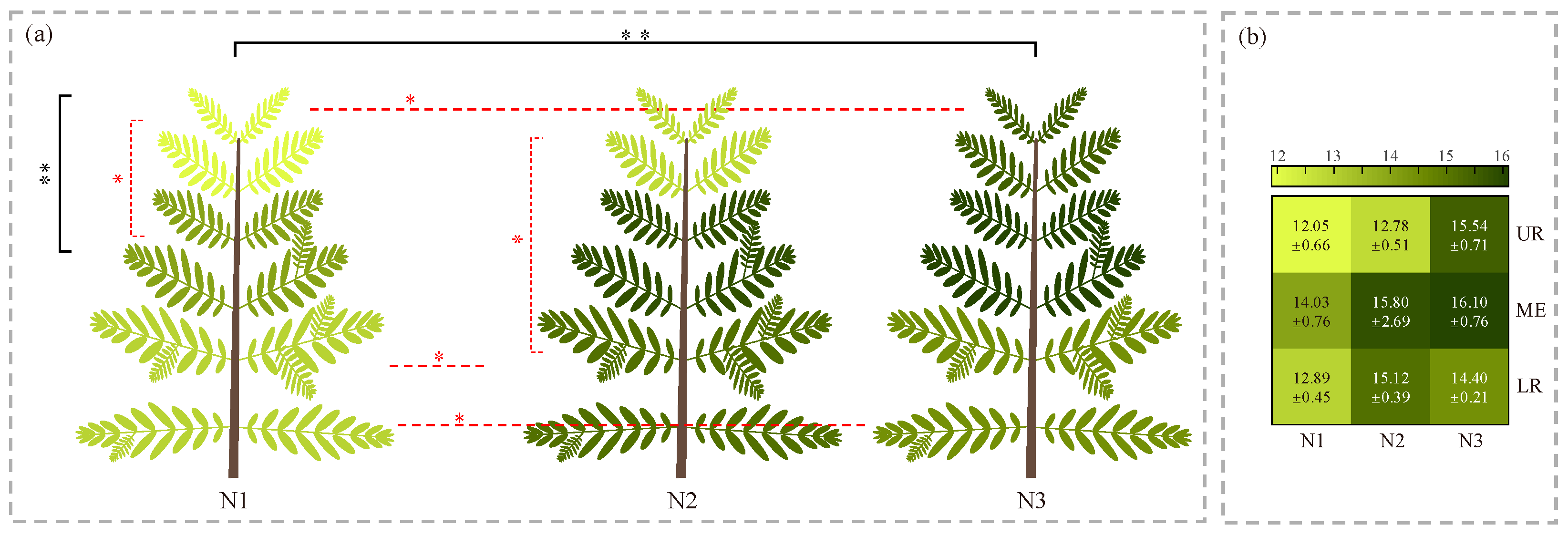Forests 17 00192 g006 Forests 17 00192 g006