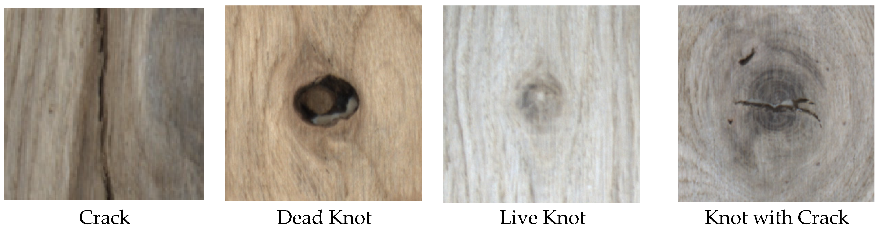 Forests 17 00194 g007 Forests 17 00194 g007