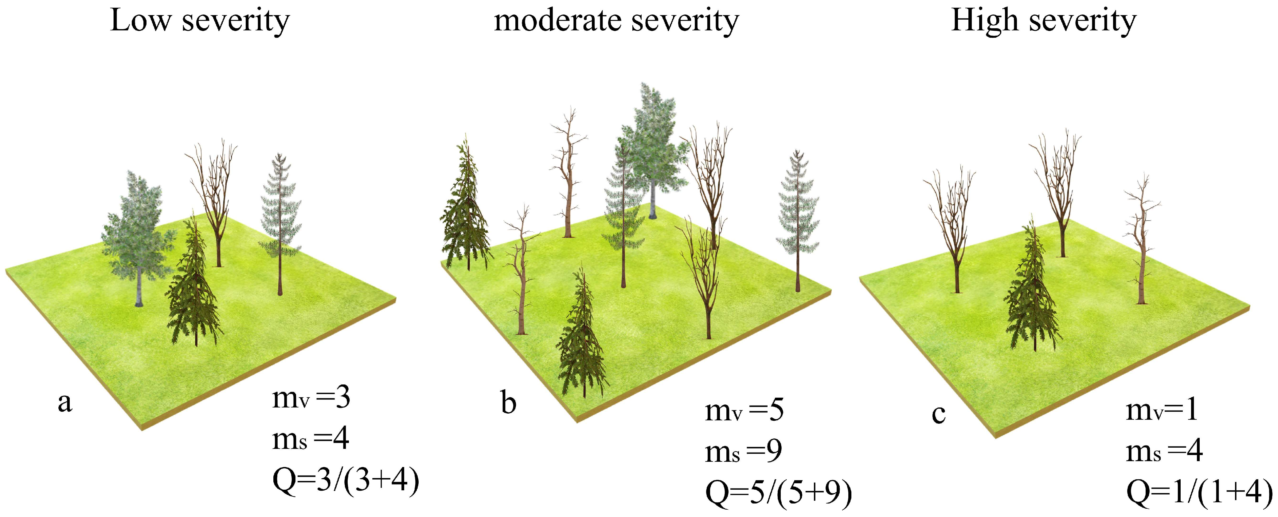 Forests 17 00243 g001