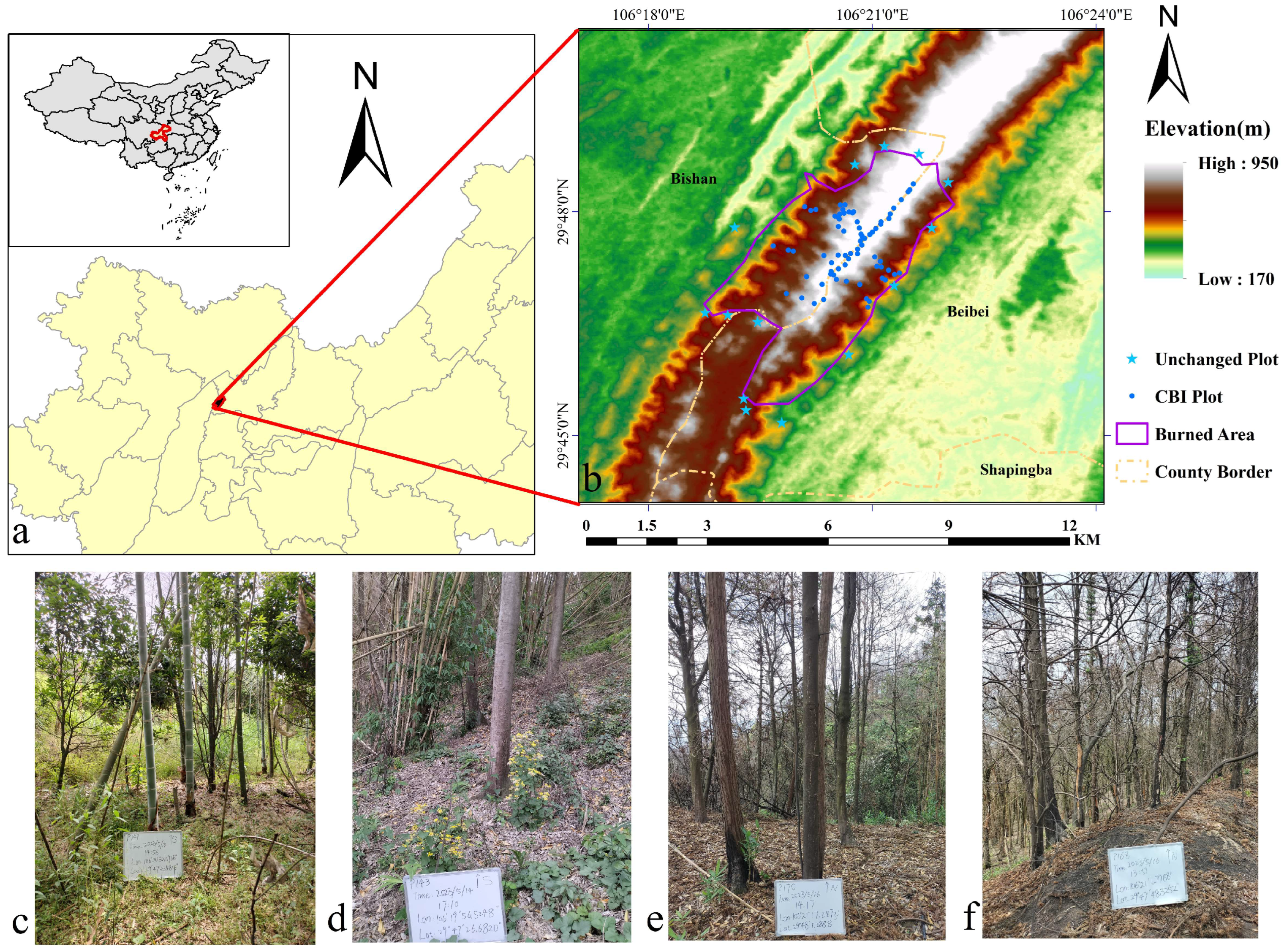 Forests 17 00243 g002