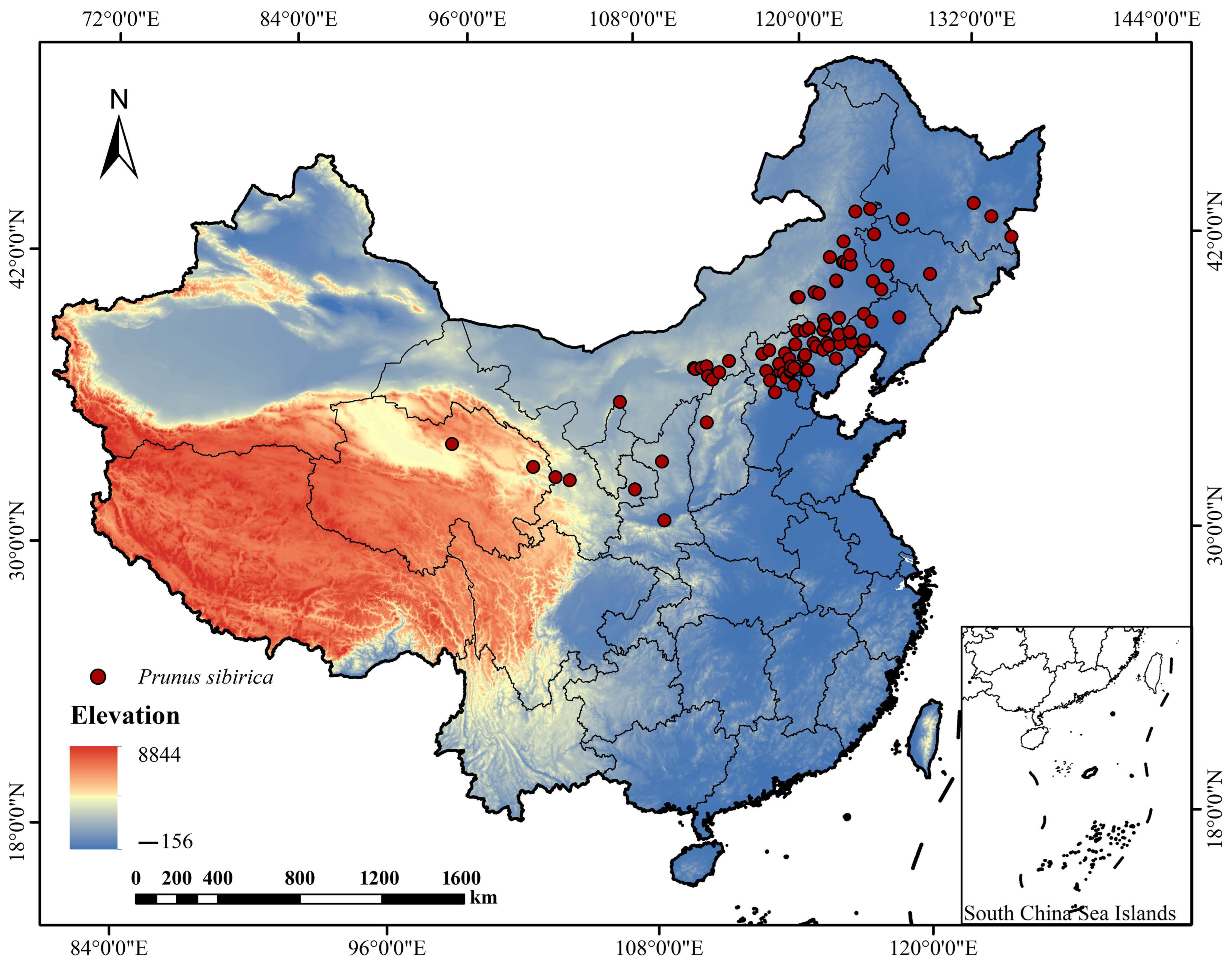 Forests 17 00266 g001 Forests 17 00266 g001