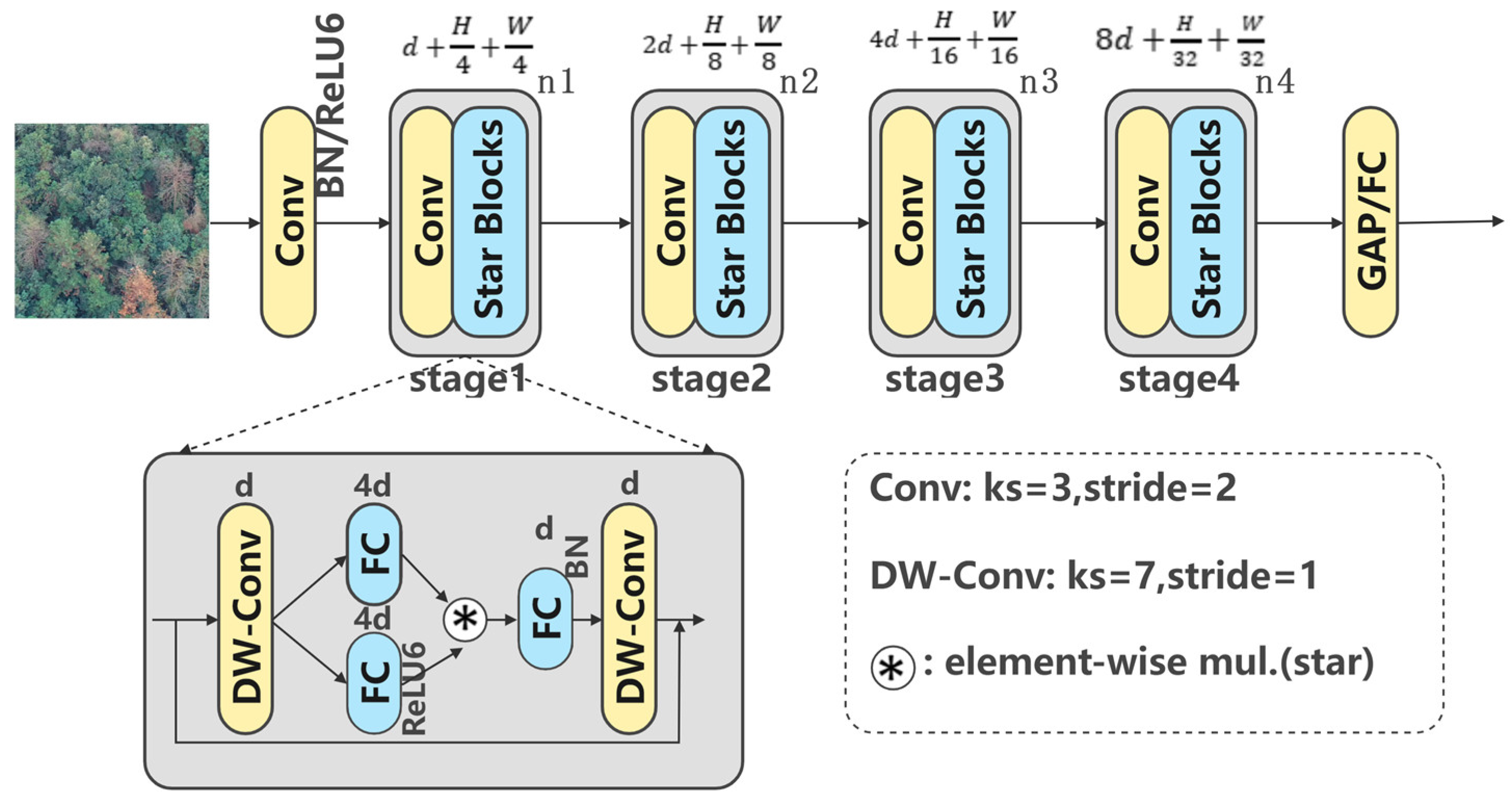 Forests 17 00277 g003 Forests 17 00277 g003