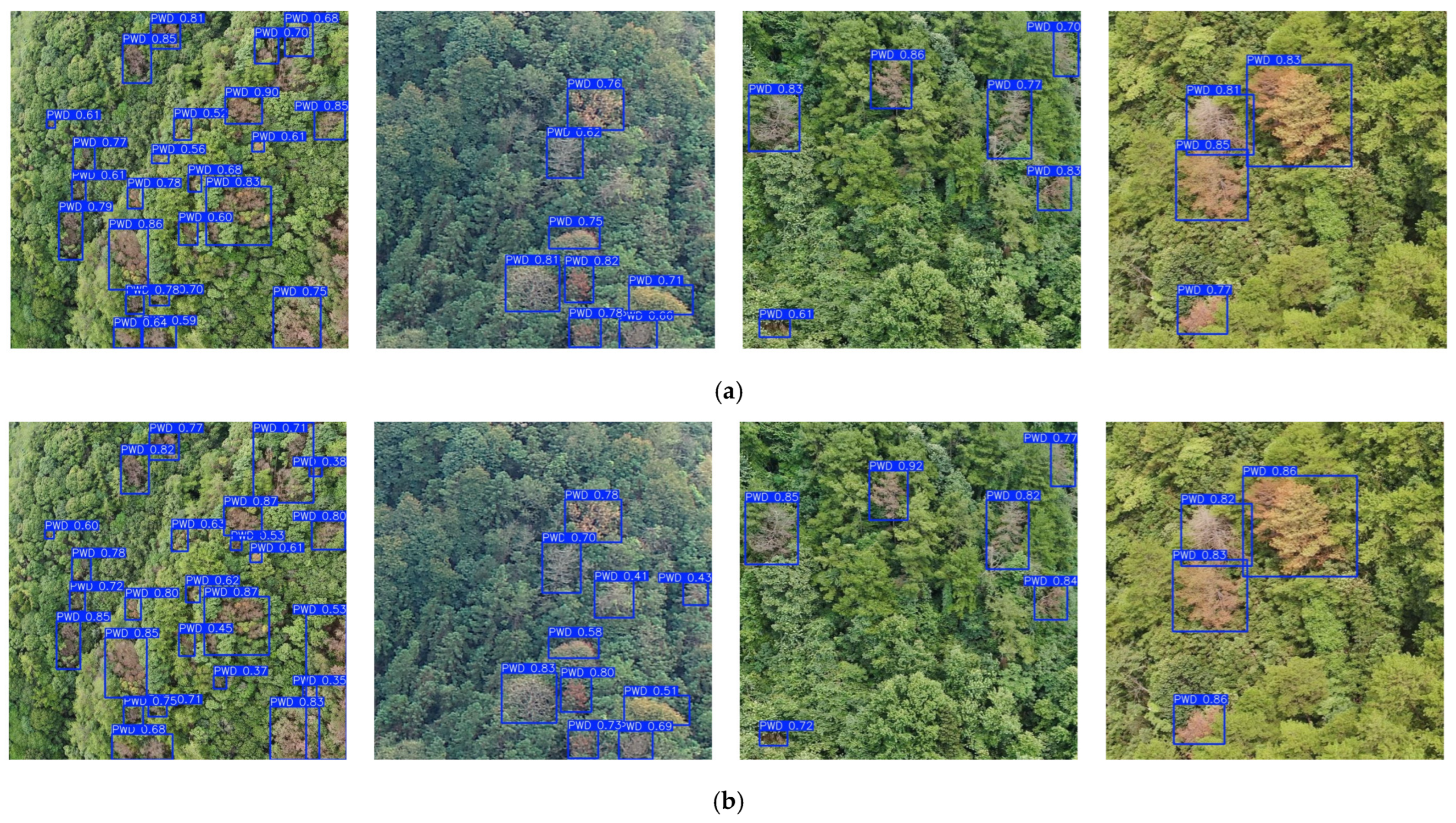 Forests 17 00277 g008 Forests 17 00277 g008
