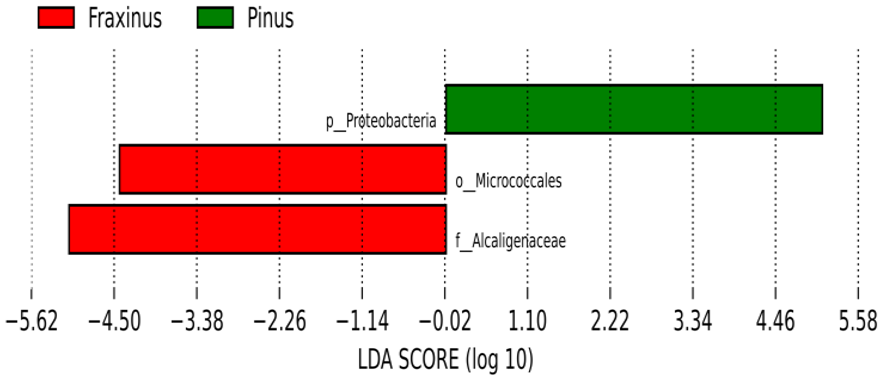 Forests 17 00313 g006 Forests 17 00313 g006
