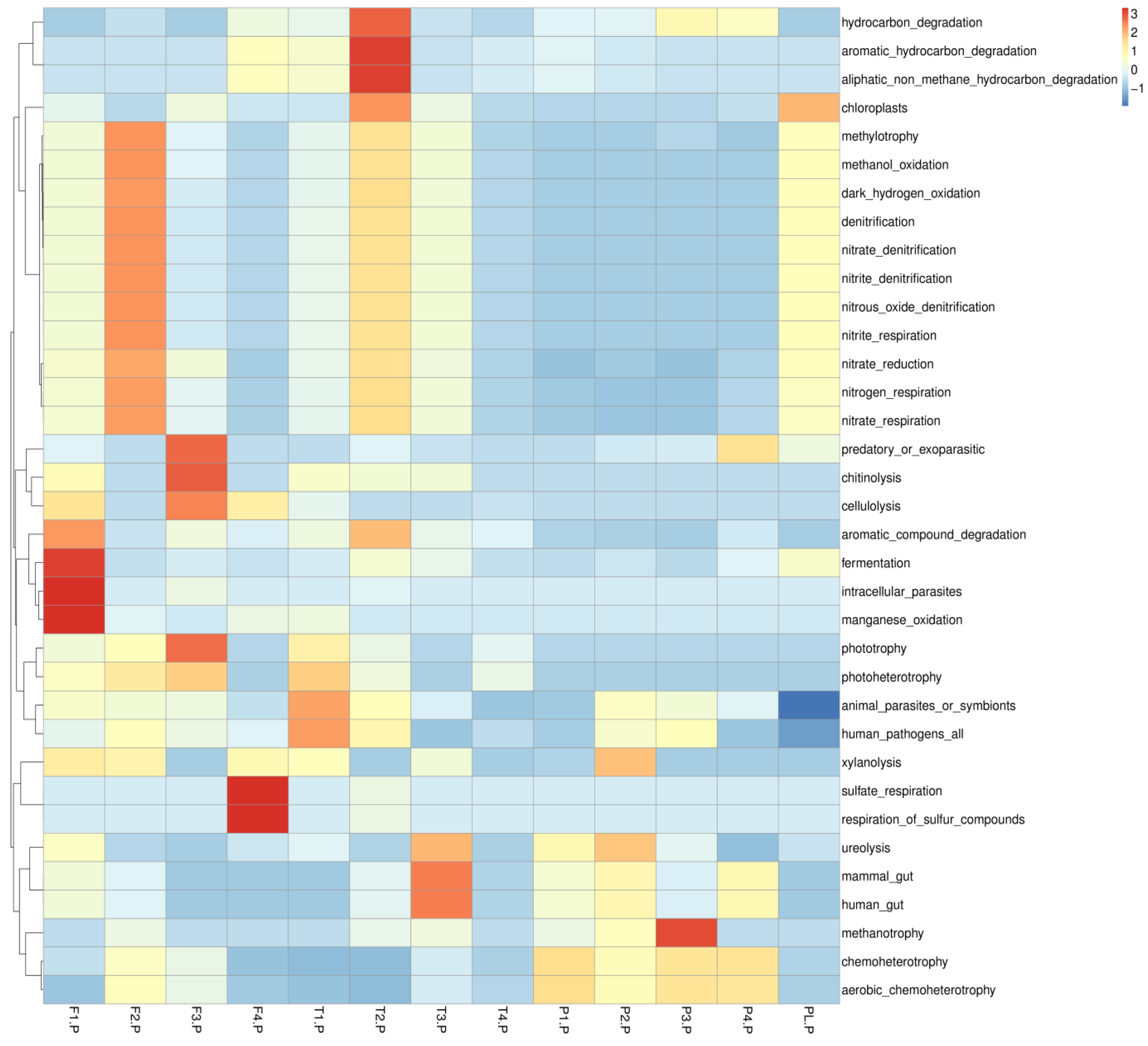 Forests 17 00313 g011 Forests 17 00313 g011