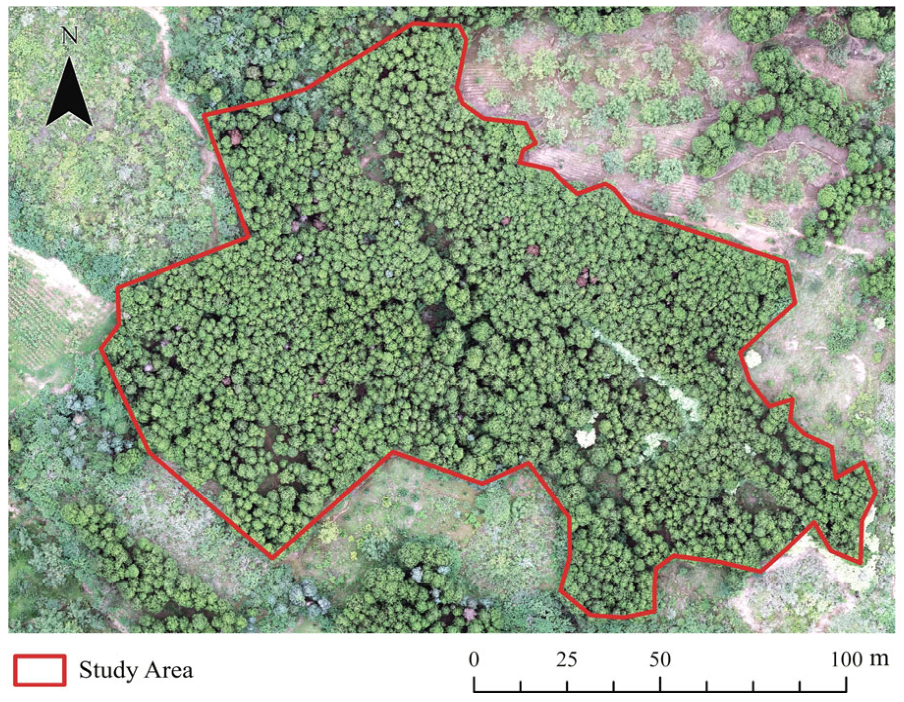 Forests 17 00328 g002 Forests 17 00328 g002