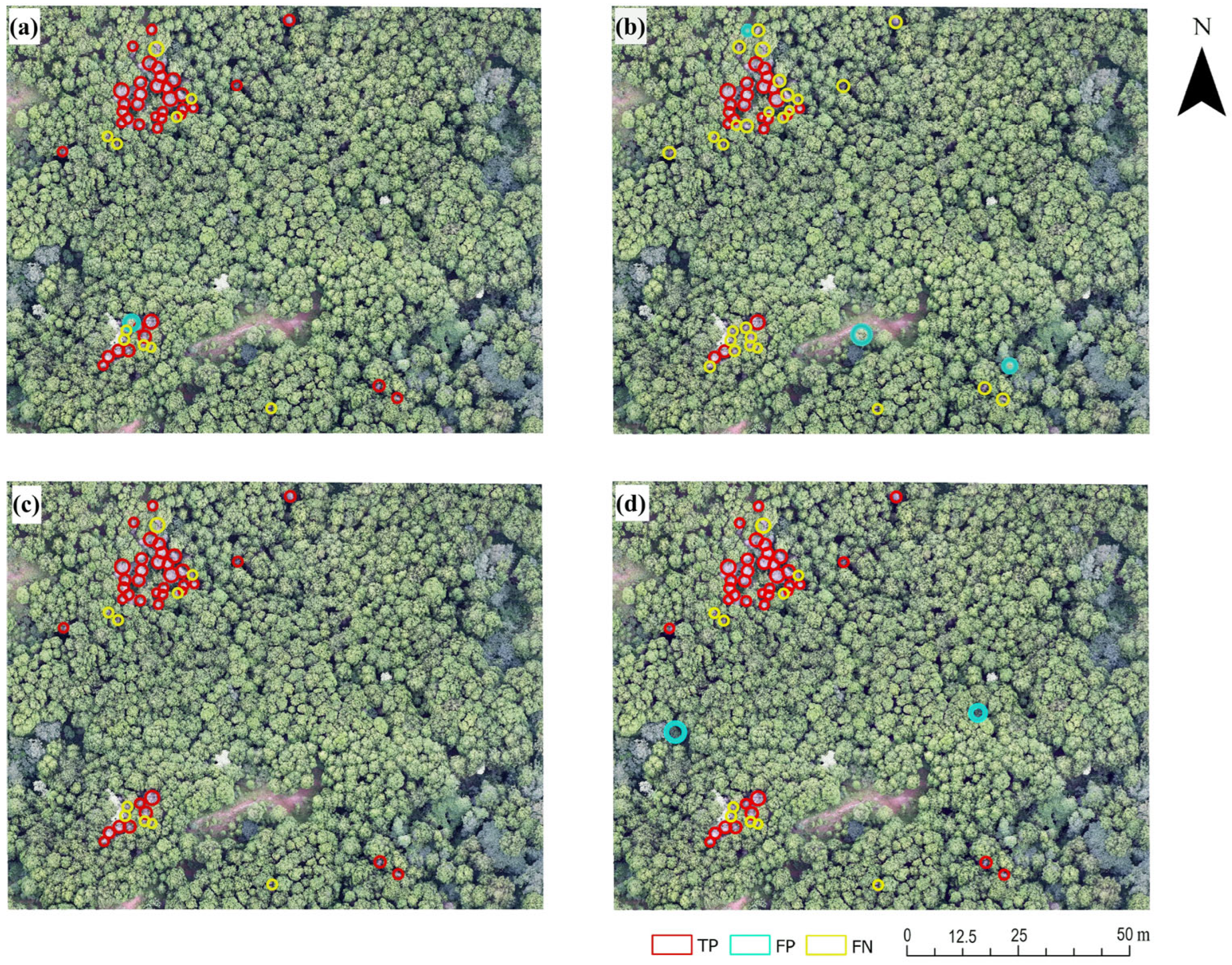 Forests 17 00328 g009 Forests 17 00328 g009