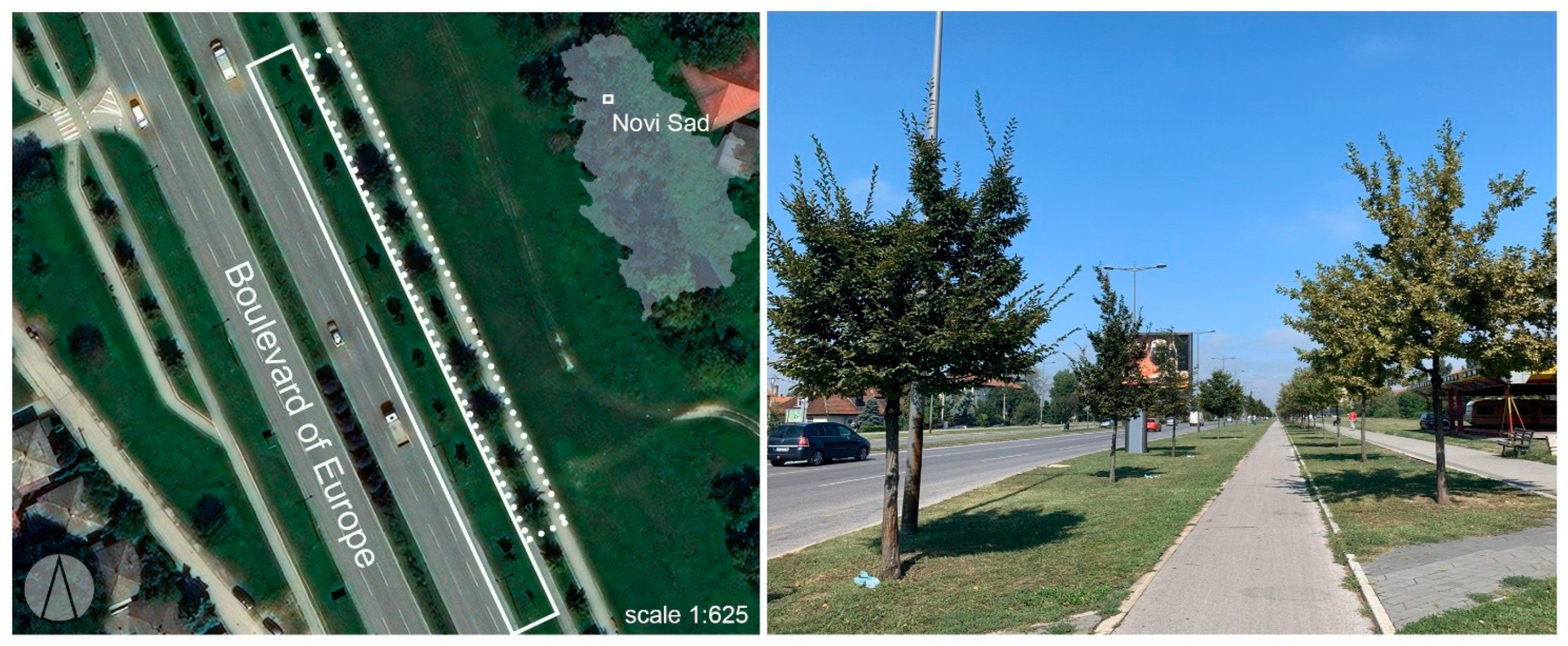 Forests 17 00339 g001