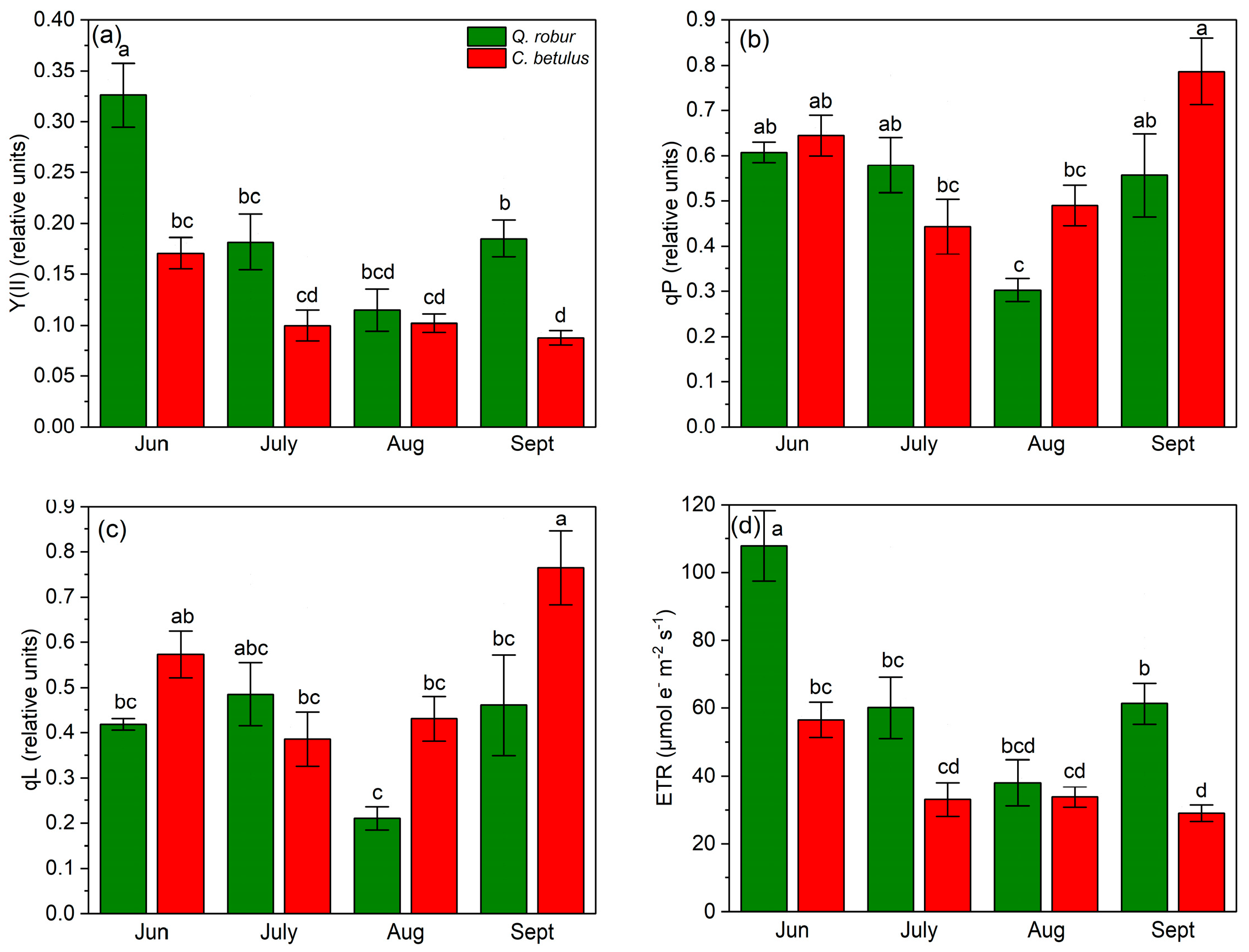 Forests 17 00339 g006