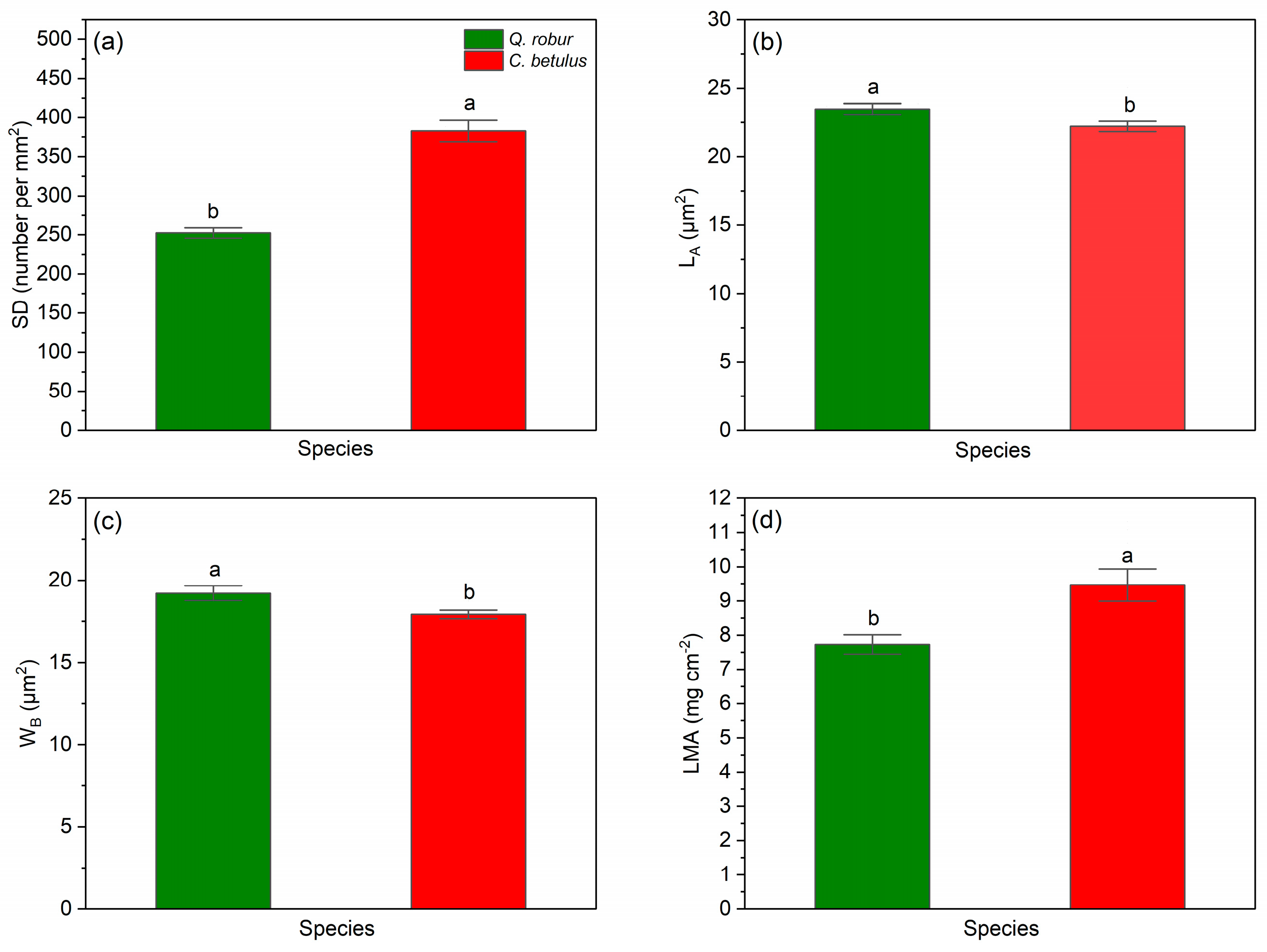 Forests 17 00339 g010