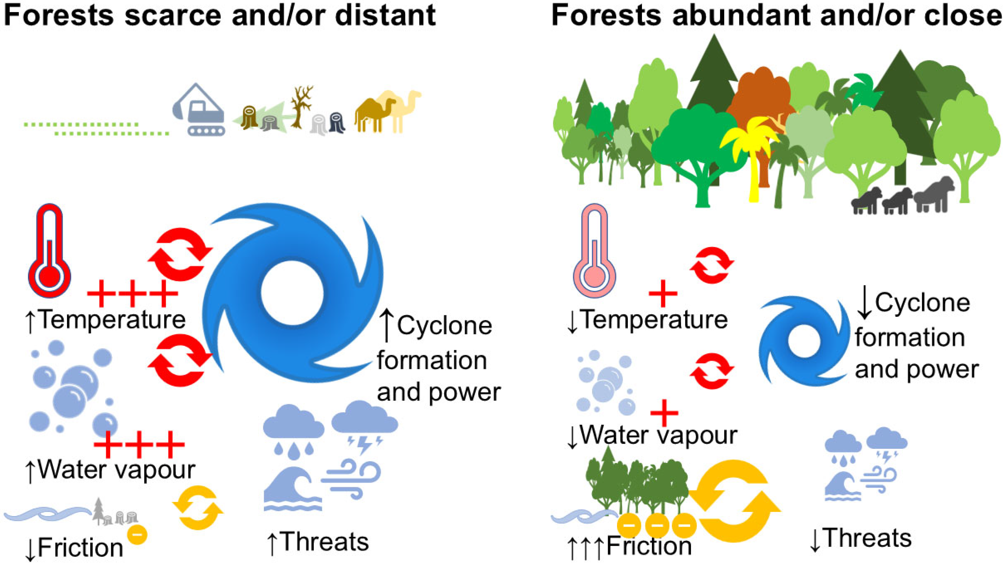 Forests 17 00359 g004