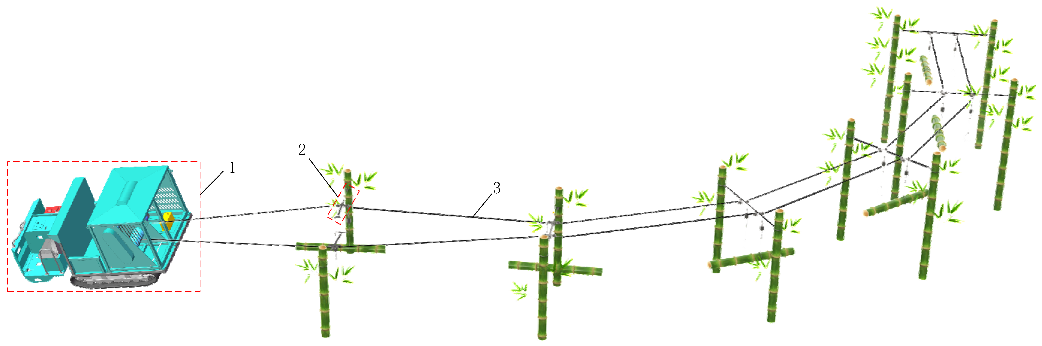 Forests 17 00371 g001