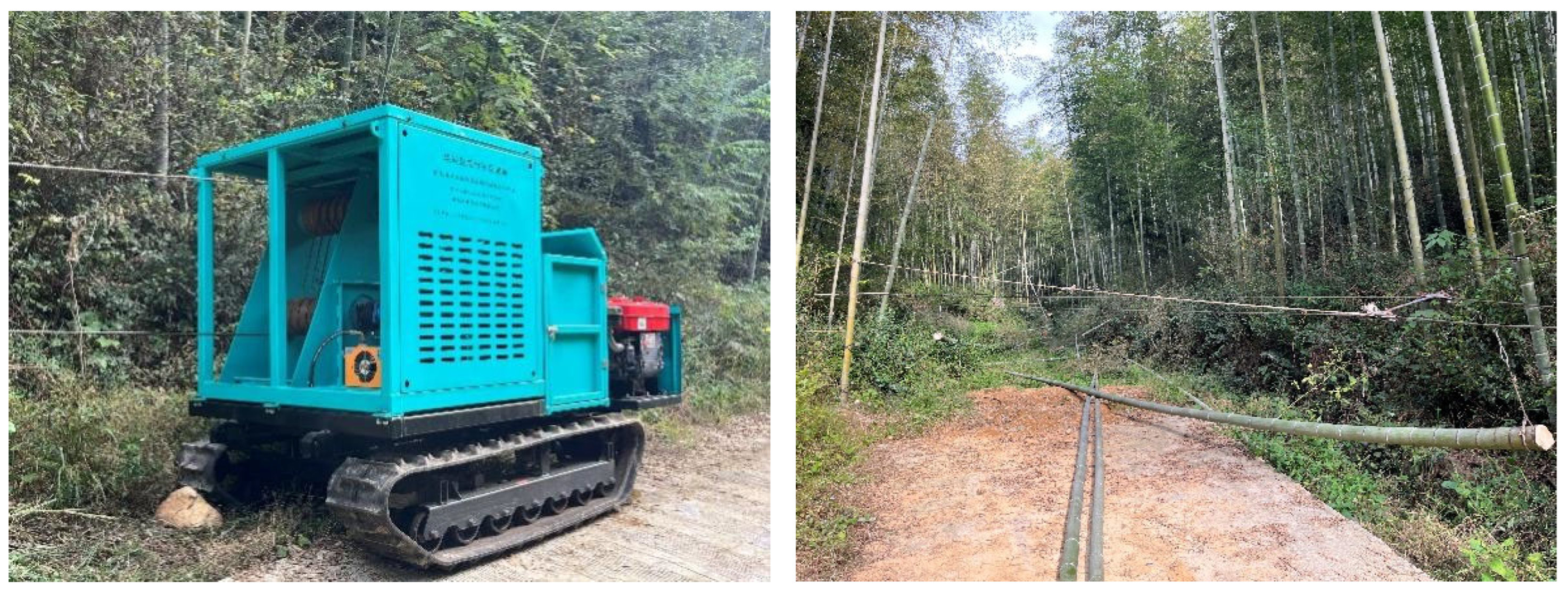 Forests 17 00371 g019