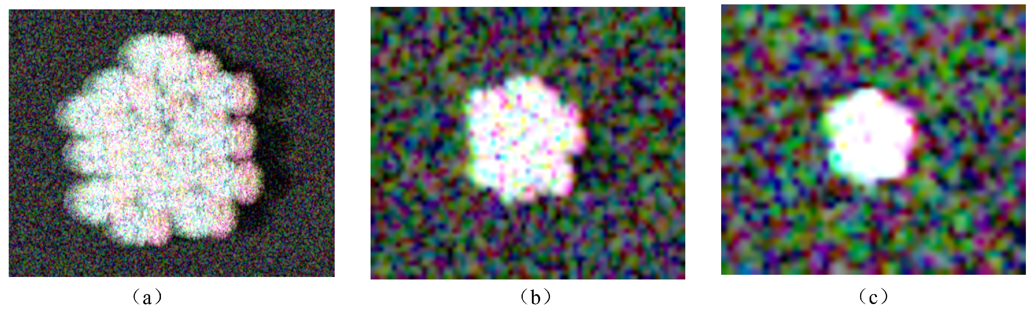 Forests 17 00372 g001 Forests 17 00372 g001