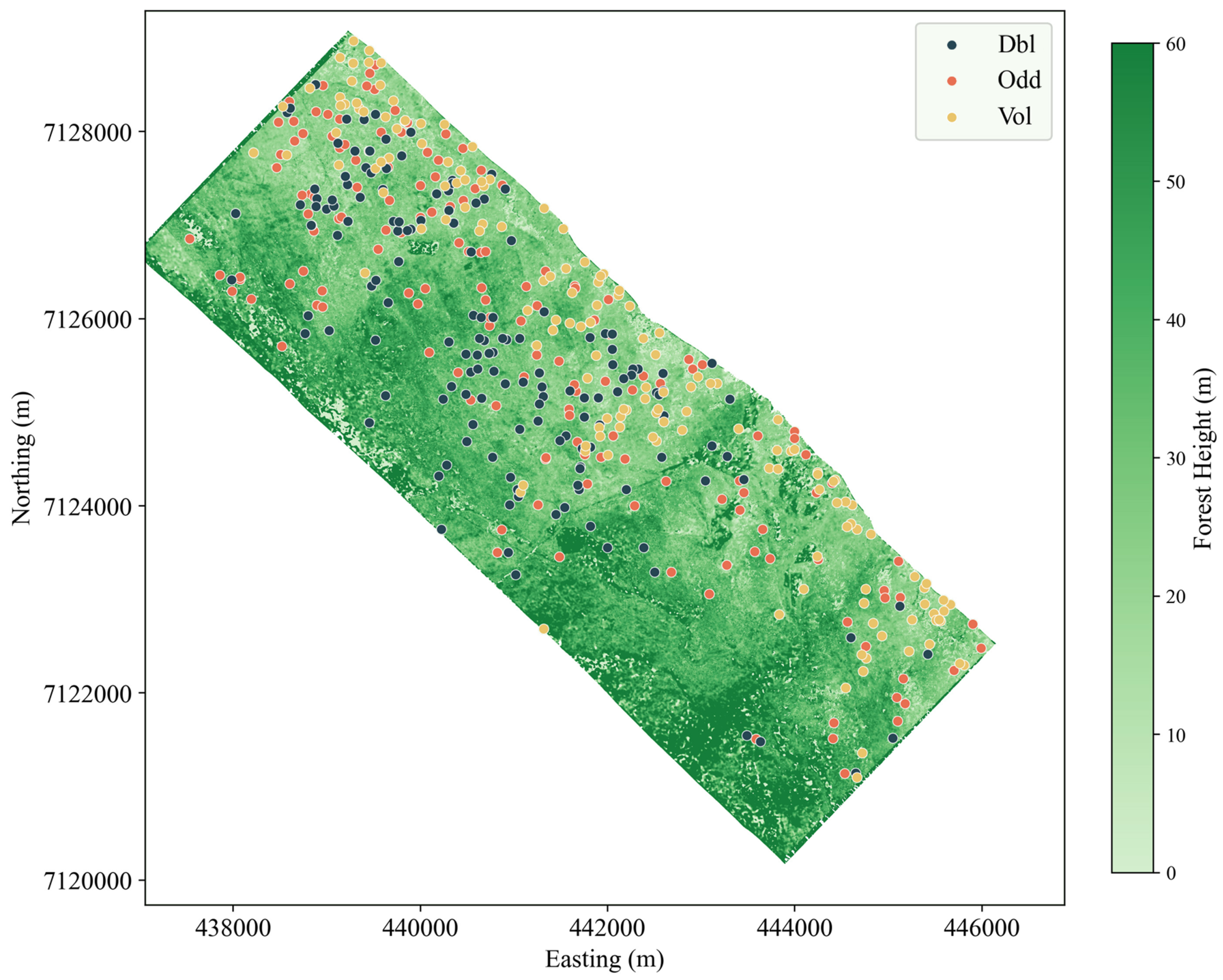 Forests 17 00372 g008 Forests 17 00372 g008