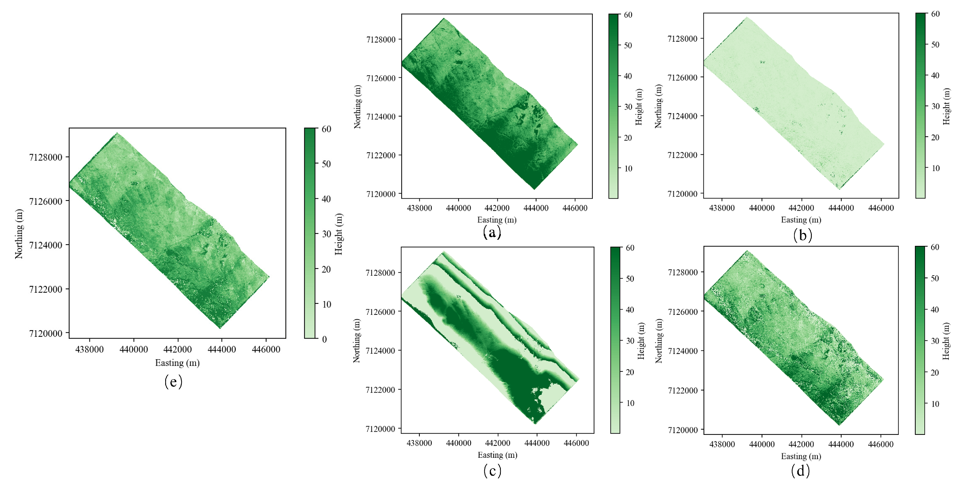 Forests 17 00372 g012 Forests 17 00372 g012