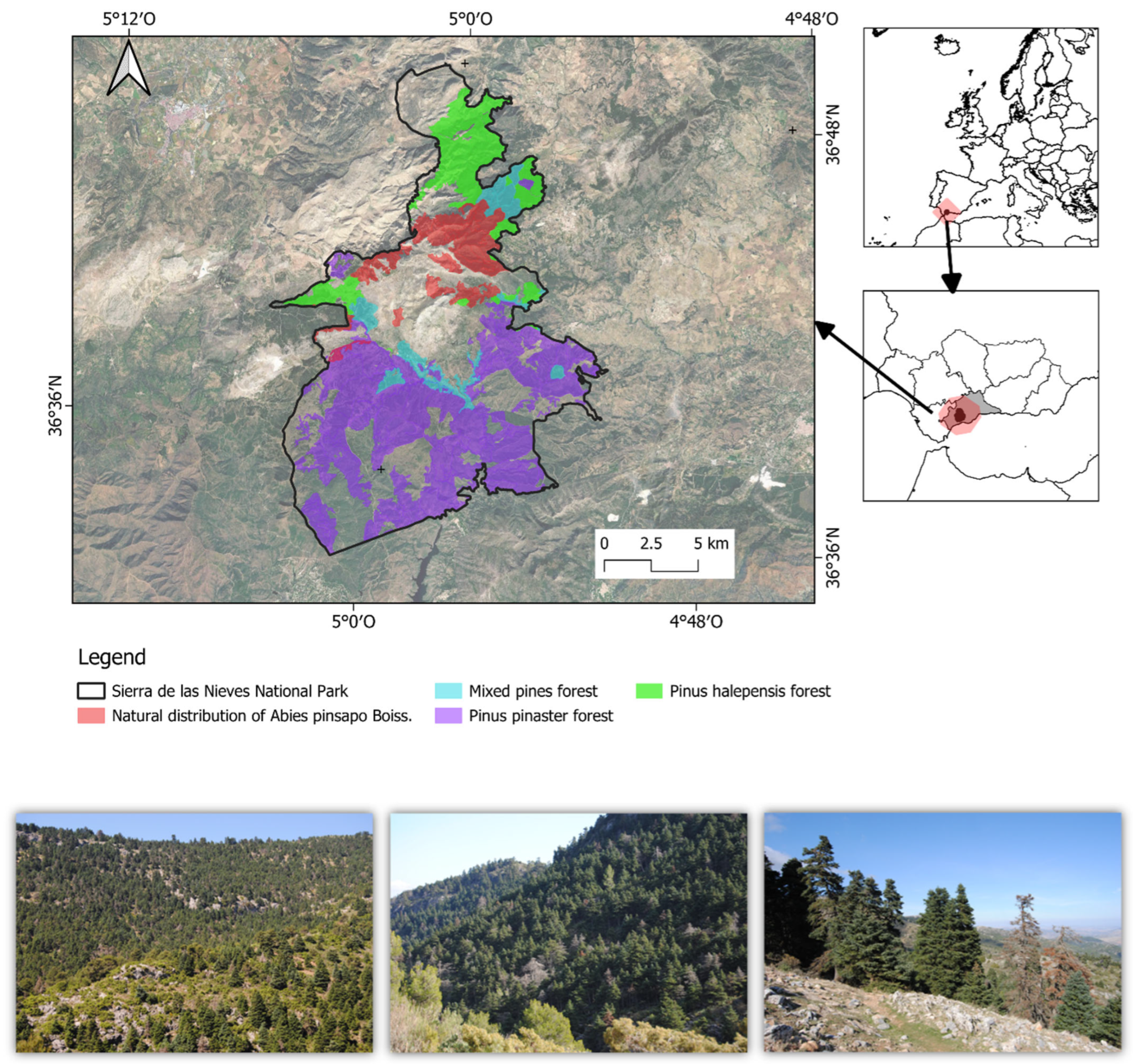 Forests 17 00777 g001 Forests 17 00777 g001