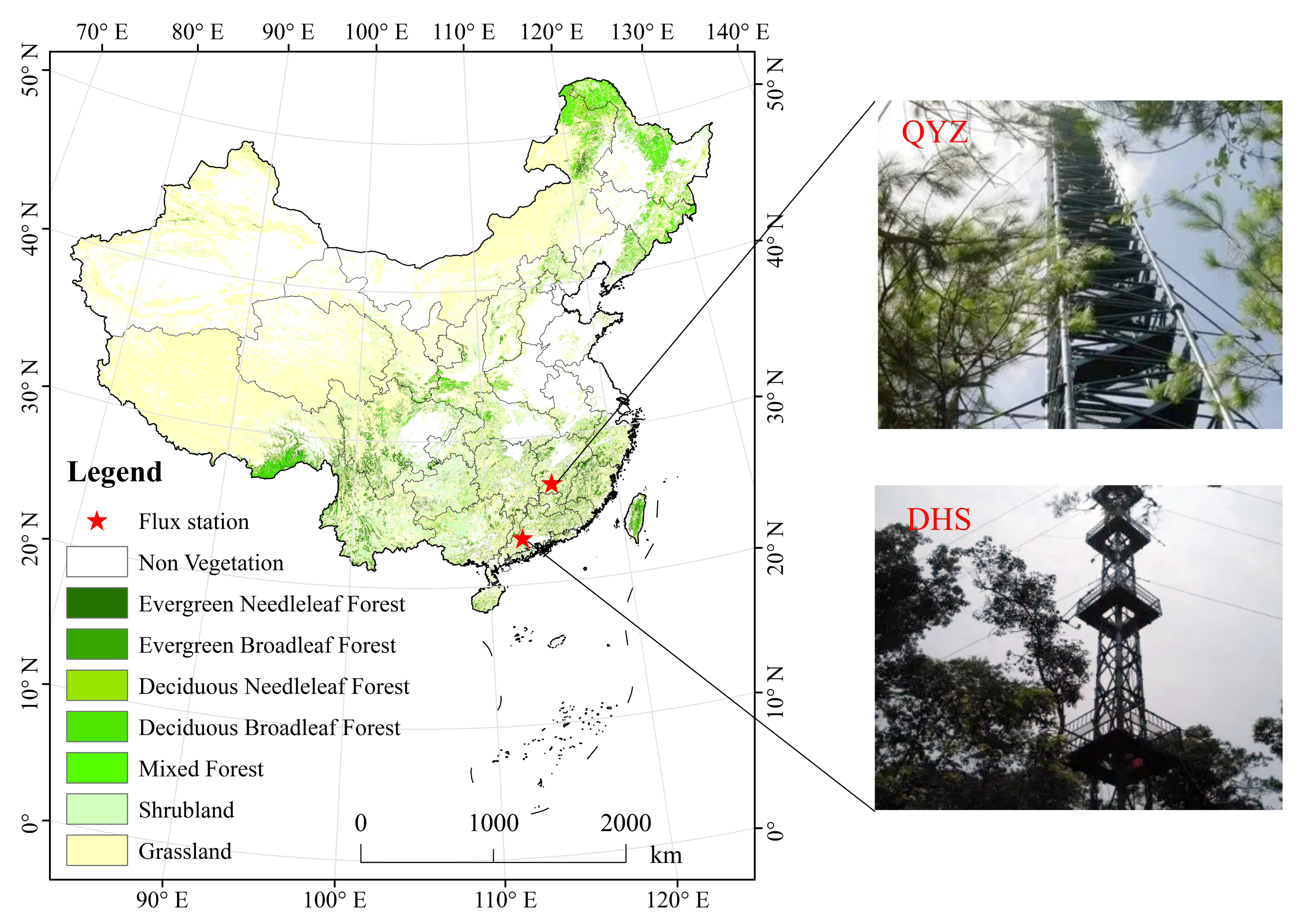 Forests 17 00869 g001 Forests 17 00869 g001