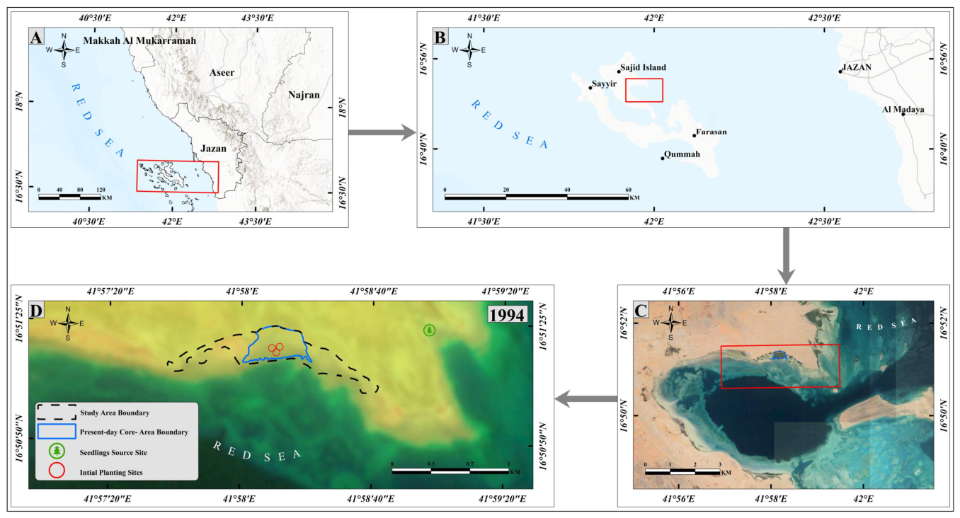 Forests 17 00911 g001 Forests 17 00911 g001