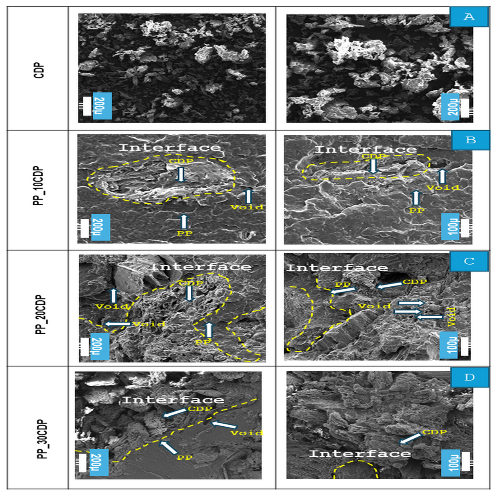 Forests 17 01017 g007 Forests 17 01017 g007