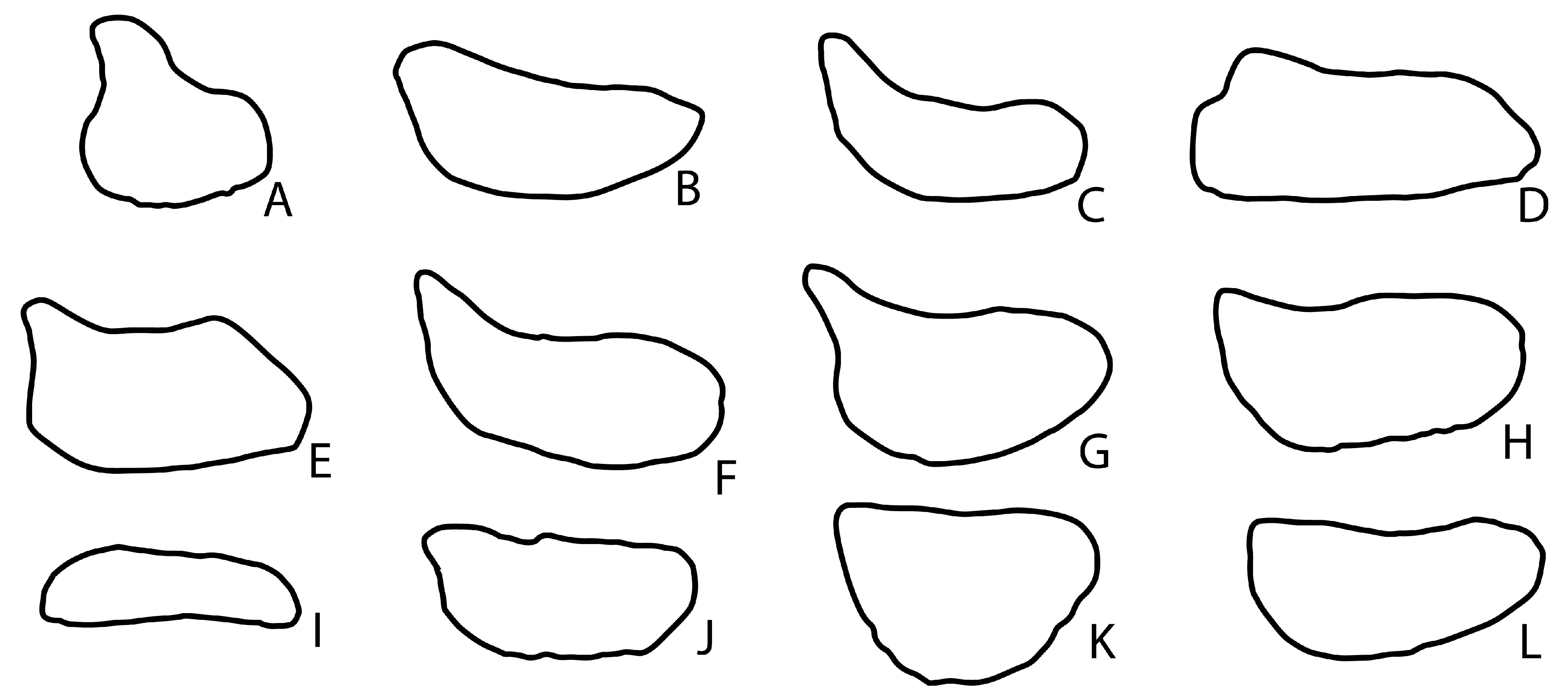 Fossstud 01 00006 g005