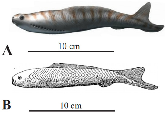 Fossstud 02 00003 g001