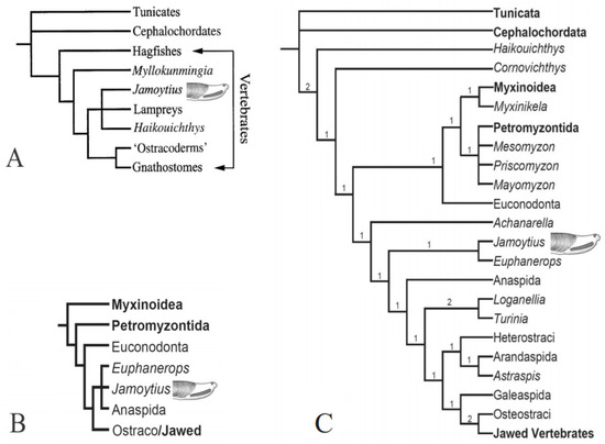 Fossstud 02 00003 g003