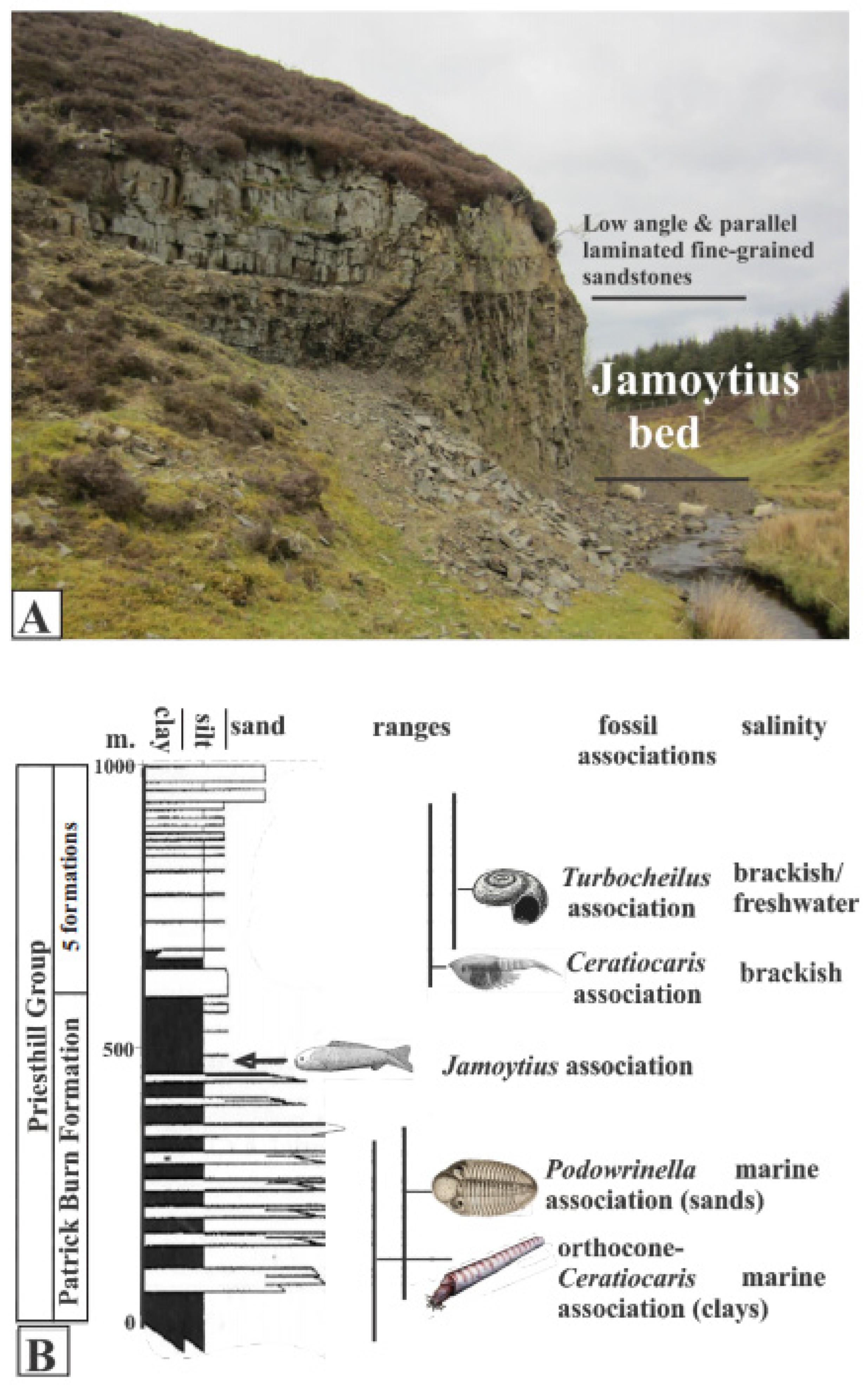 Fossstud 02 00003 g007
